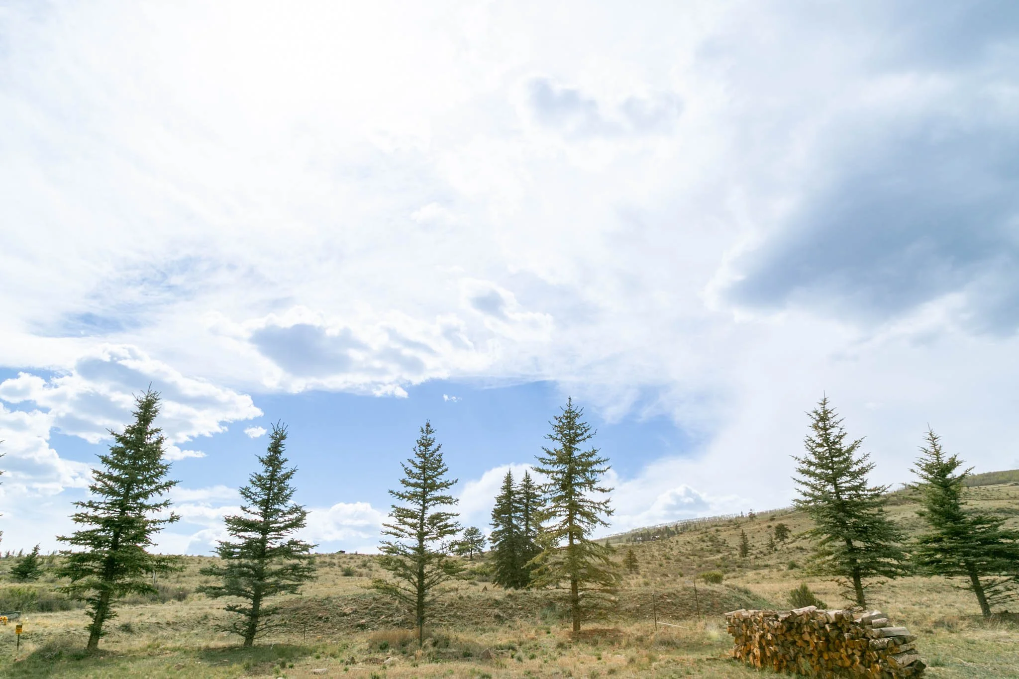 227 Bee McClure Creede America - Ashography-7451.jpg