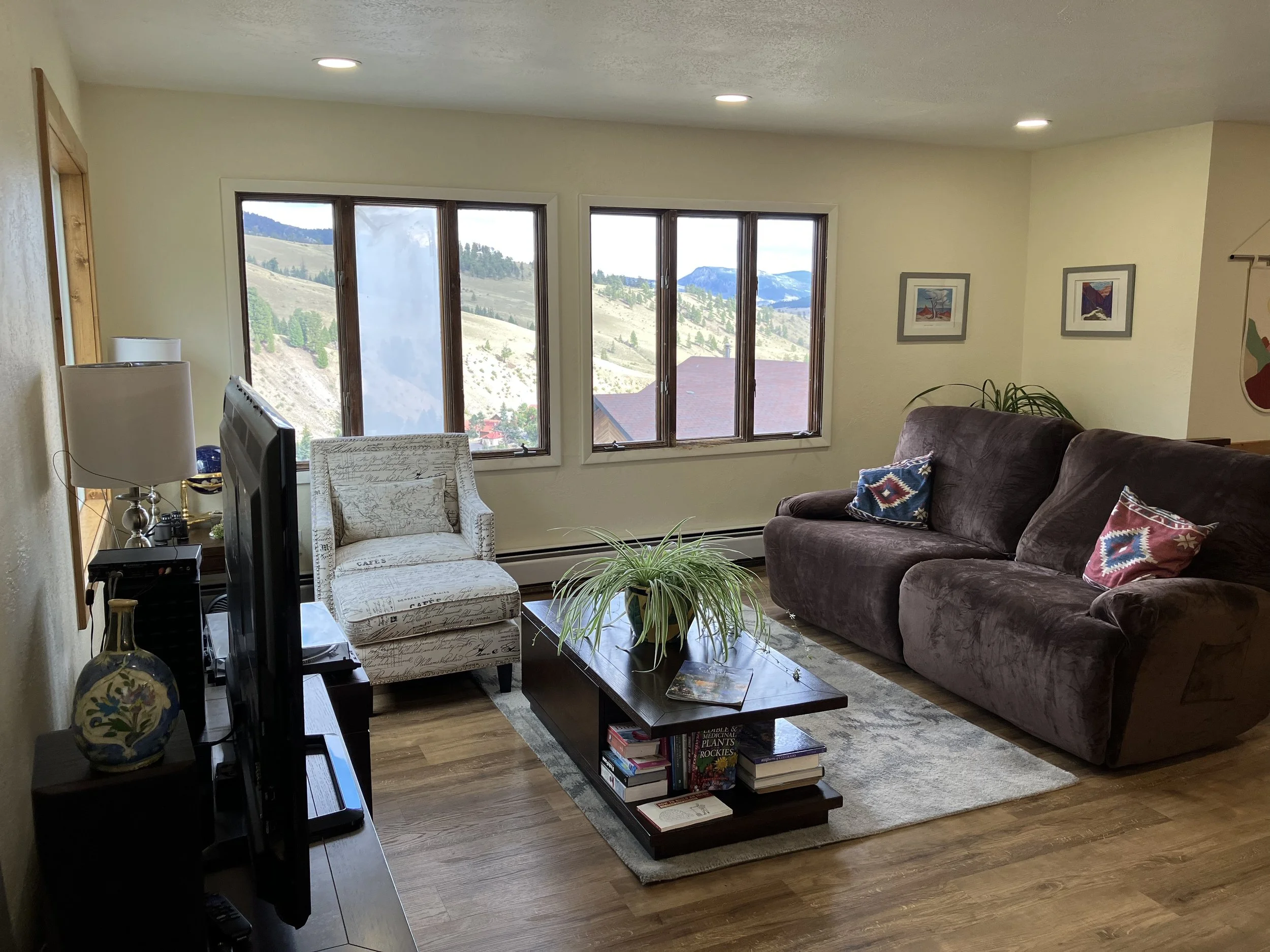 Living room with a large brown sofa and a patterned armchair, a wooden coffee table with books and a potted plant, a flat-screen TV on a stand, windows showing a mountain landscape, and framed artwork on the walls.