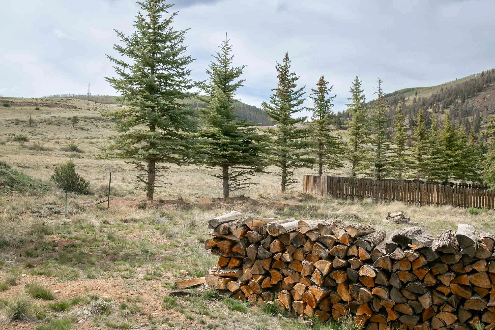 227 Bee McClure Creede America - Ashography-7457.jpg