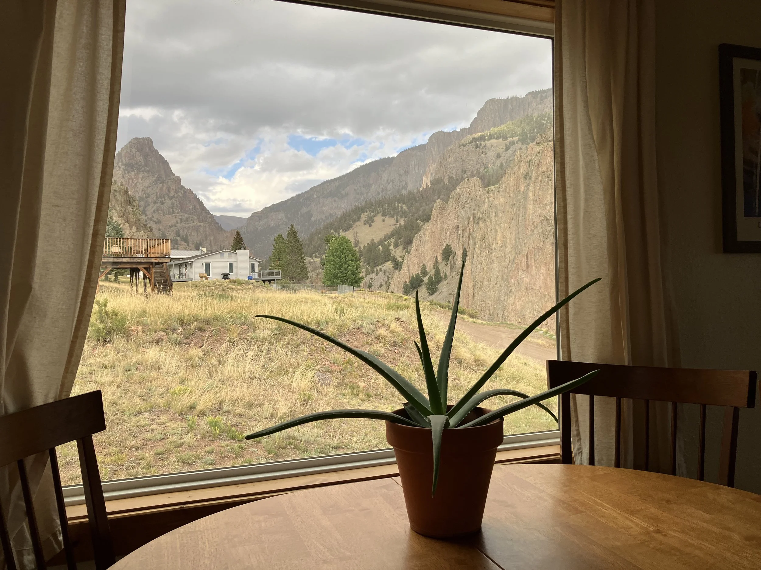 Indoor scene with a potted aloe vera plant on a wooden dining table, view of a grassy hillside with houses and mountains through a large window, curtains on sides, framed picture on wall.