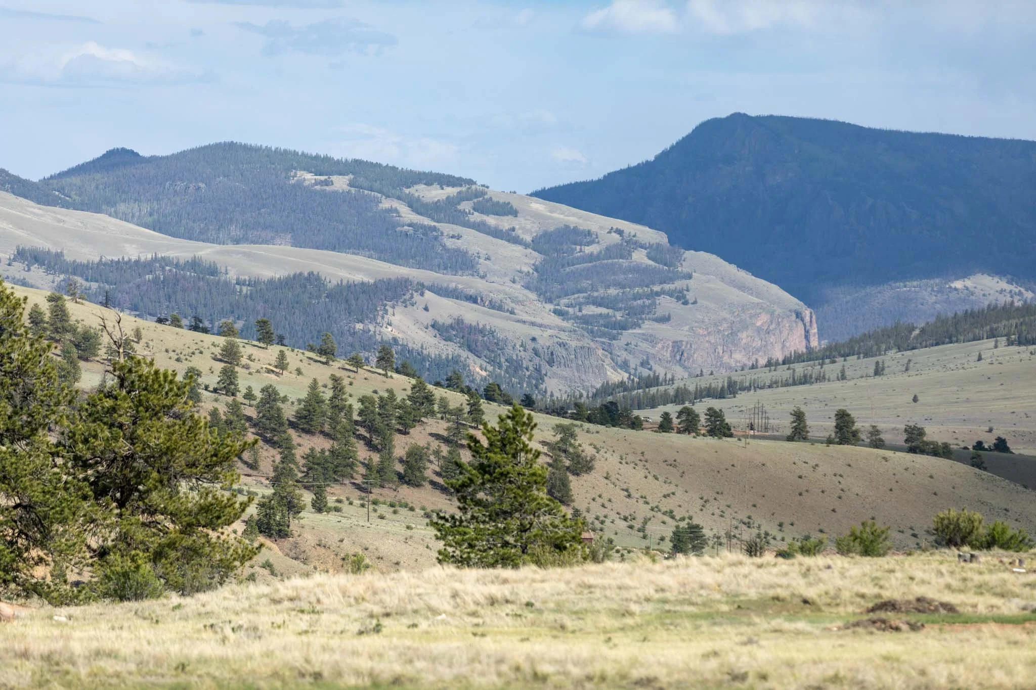 227 Bee McClure Creede America - Ashography-8217.jpg