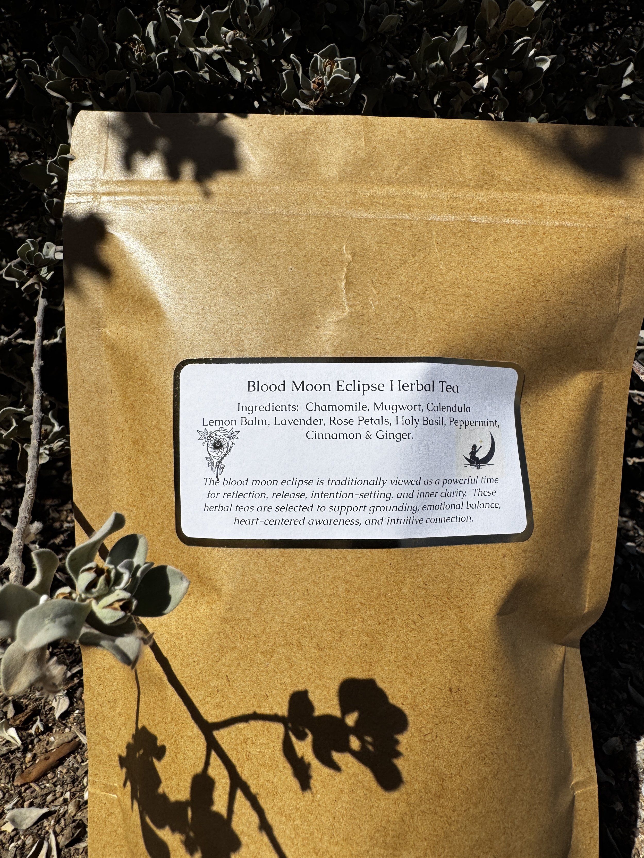 Blood Moon Eclipse front of bag.JPG