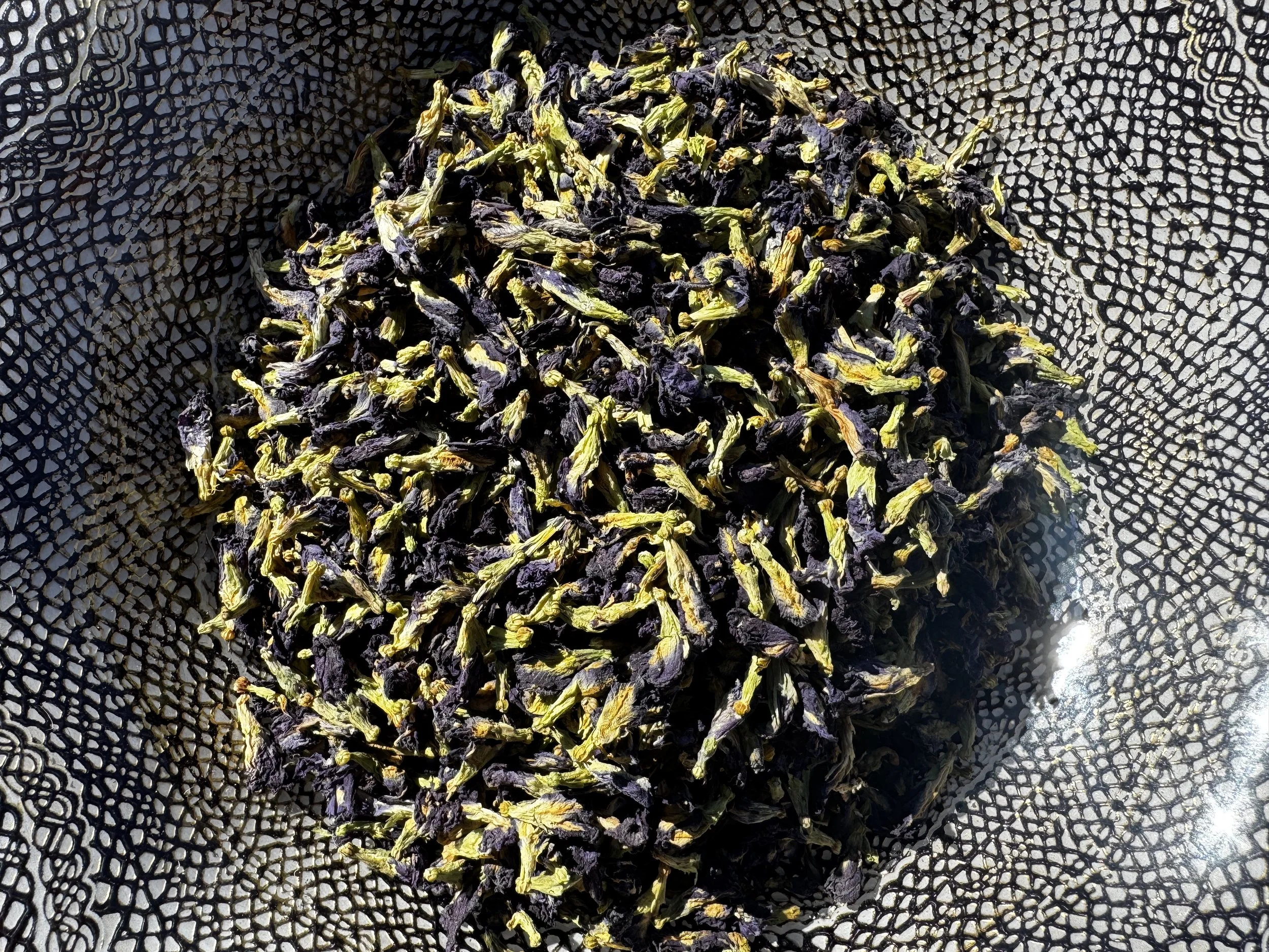 Butterfly in bowl for website.JPG