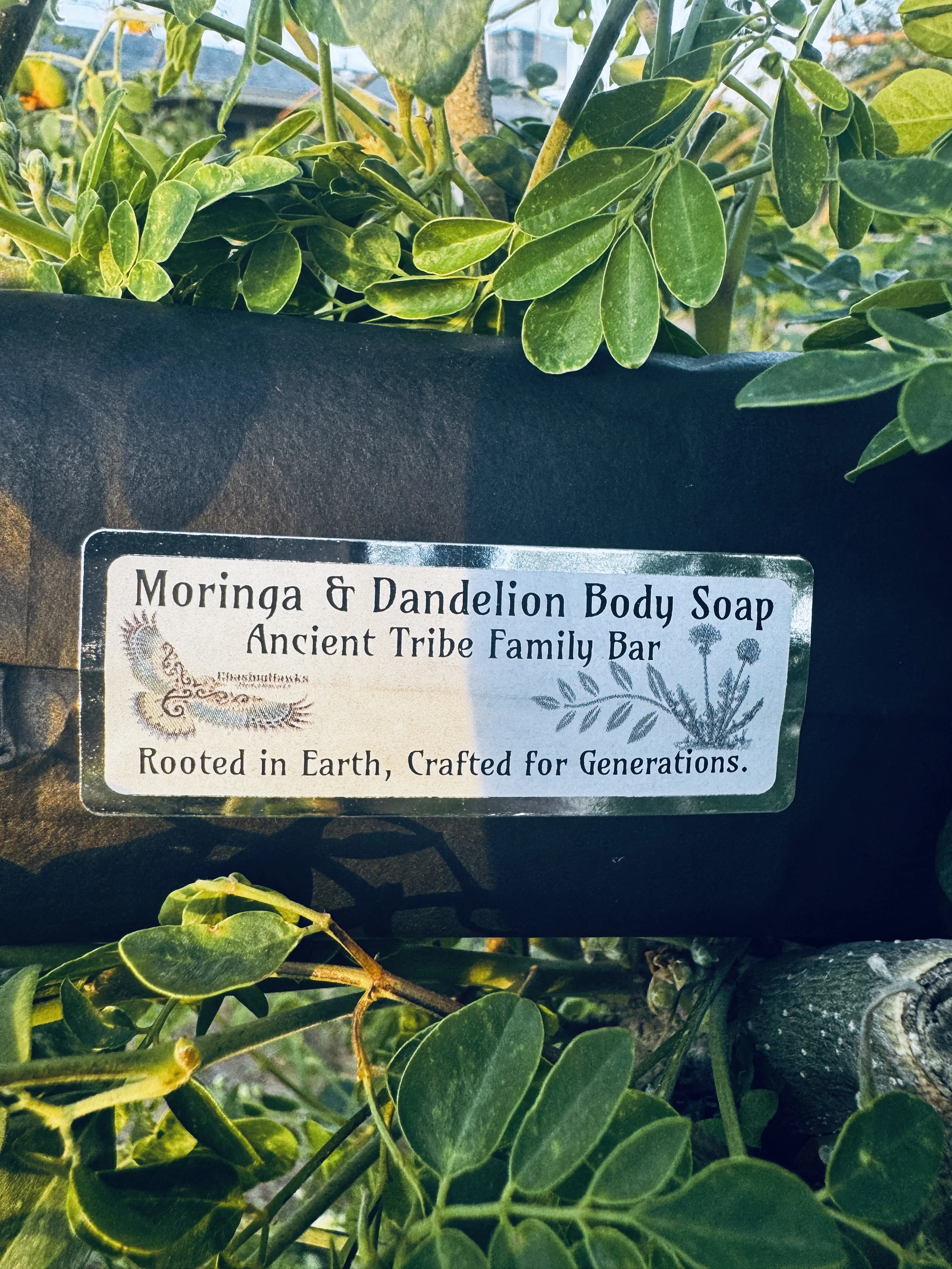 Moringa & Dandelion Root Soap Bar.jpg