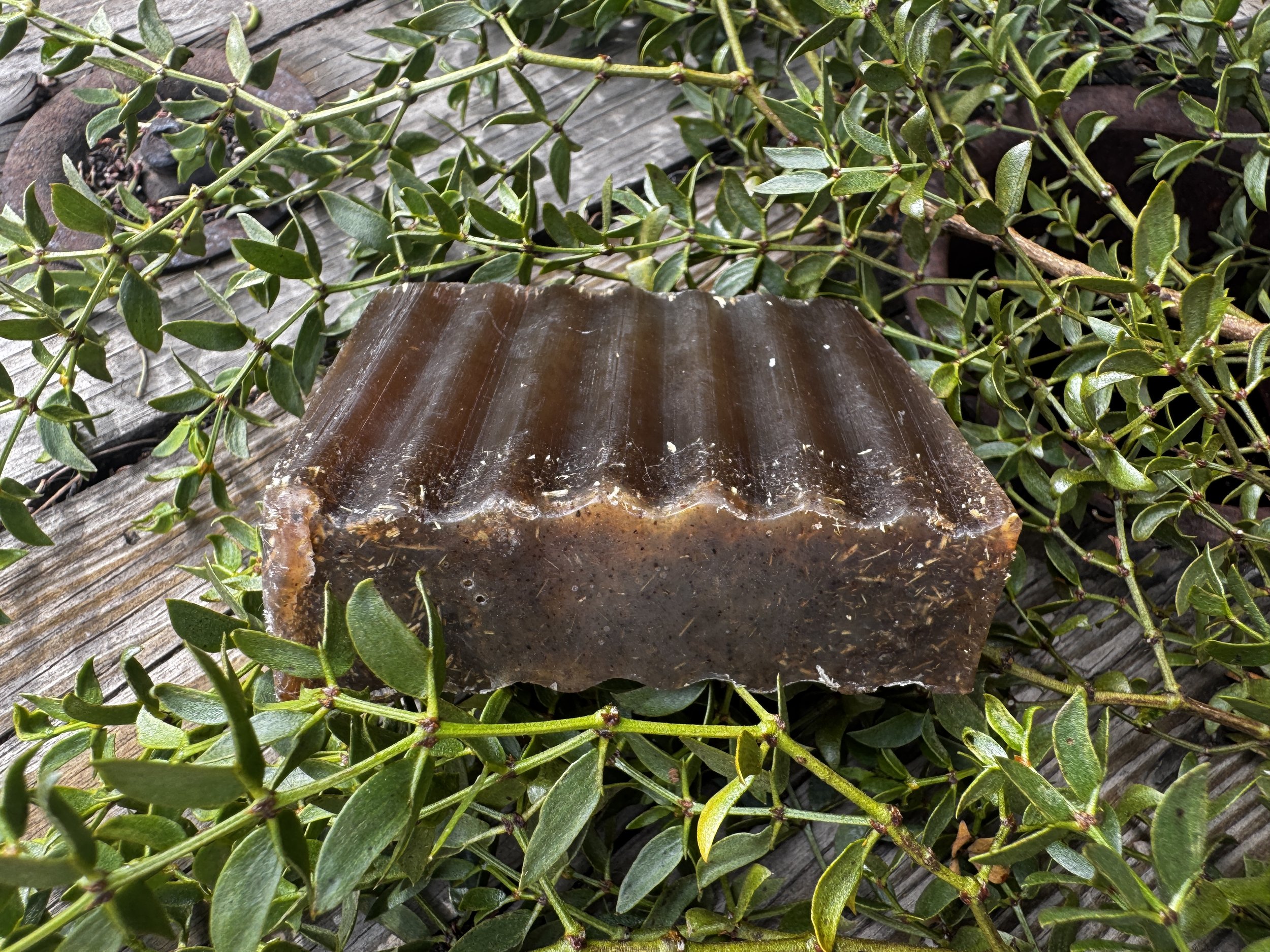 Creosote Body Soap