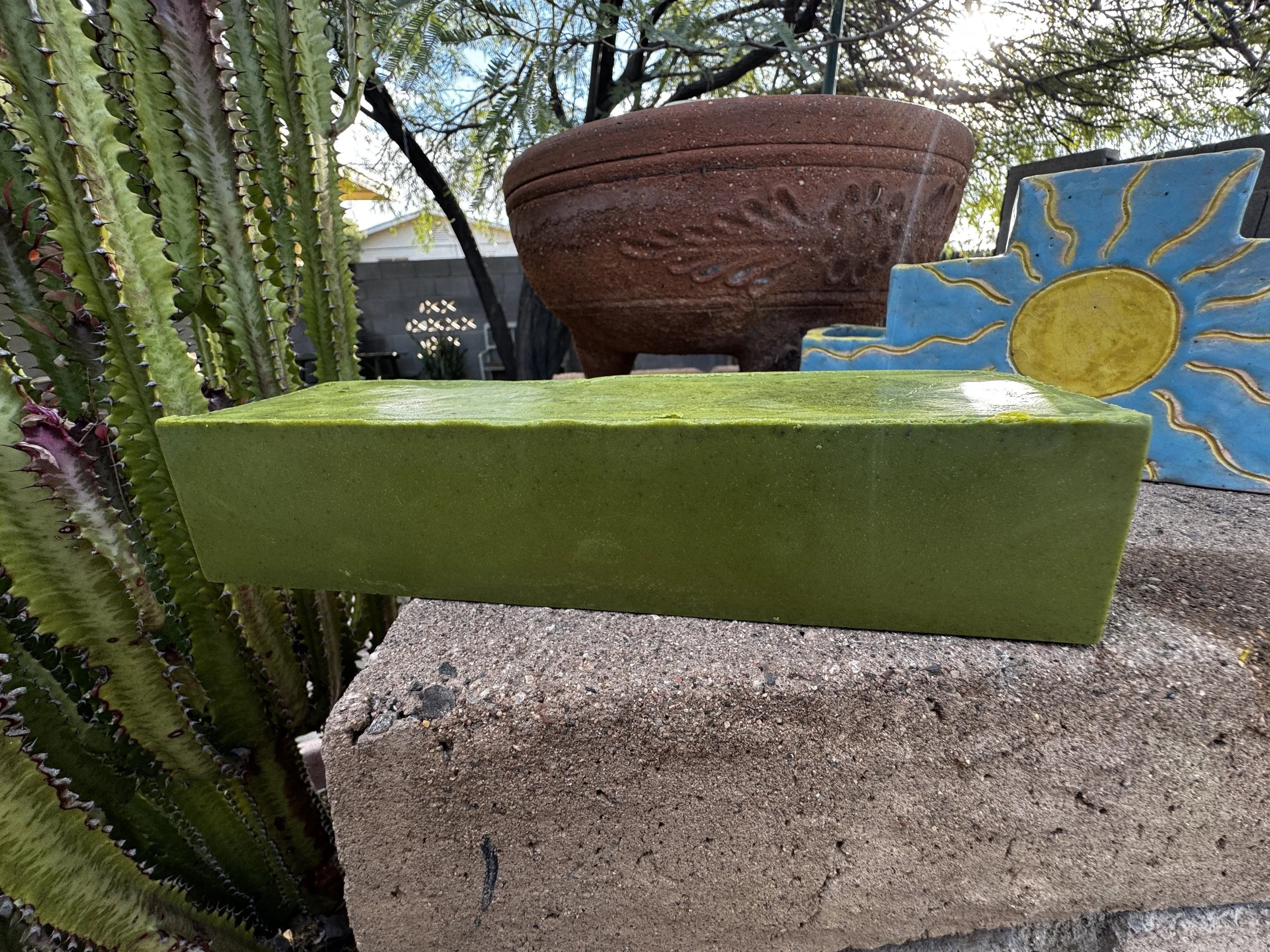 Moringa & Dandelion Root (Ancient Tribe Soap Bar)