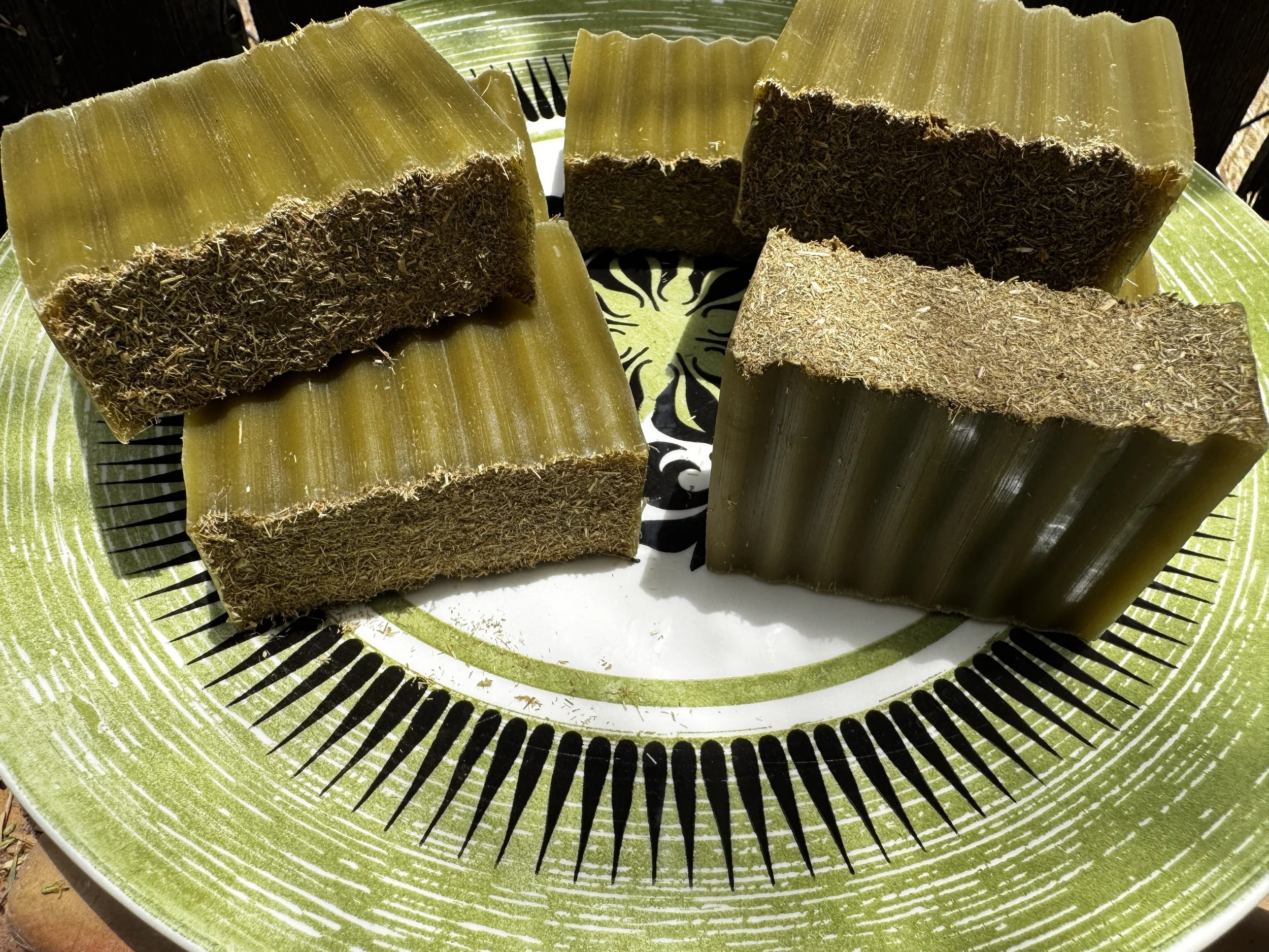 Prickly Pear Cactus- Soap bars.JPG