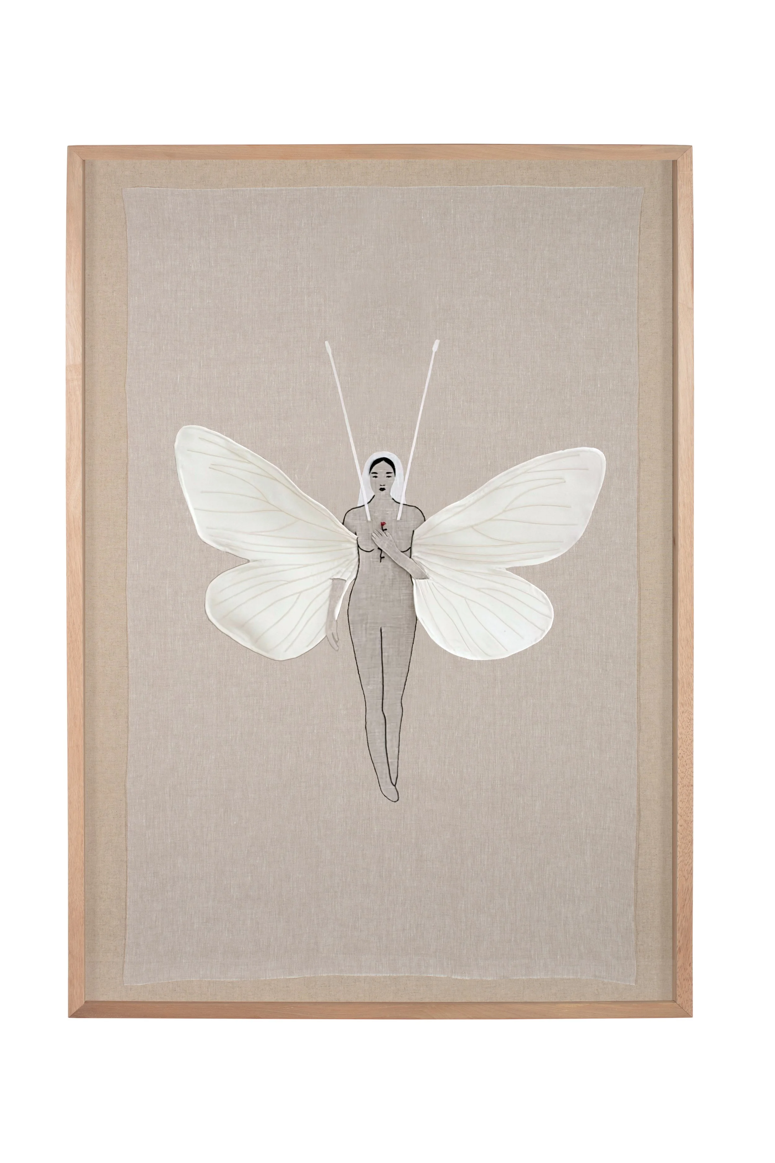 THE BUTTERFLY