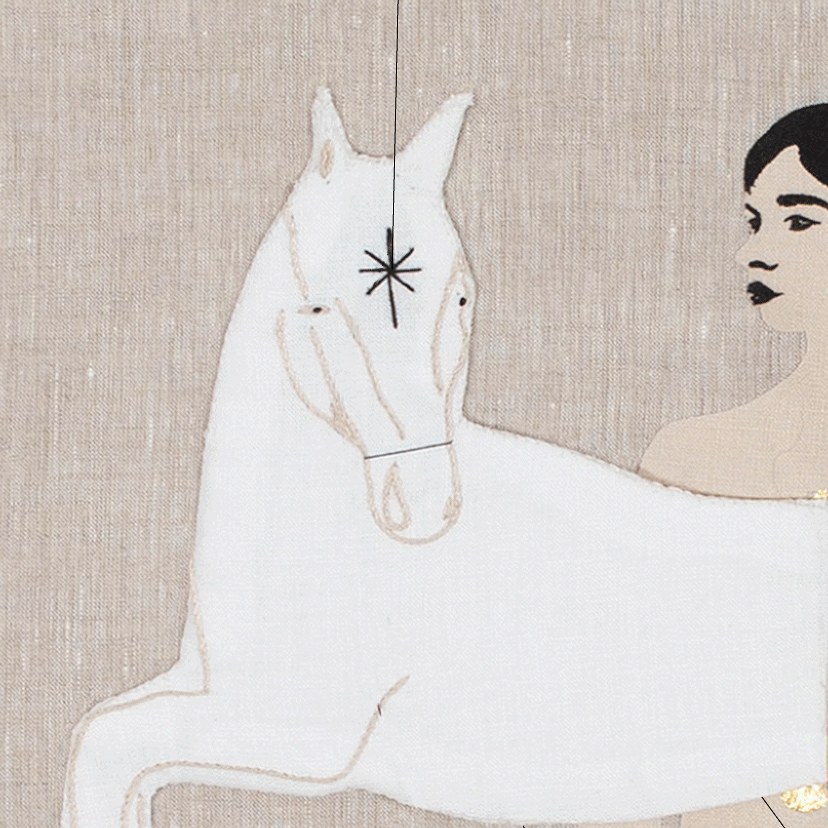 zoom caballo 3.png