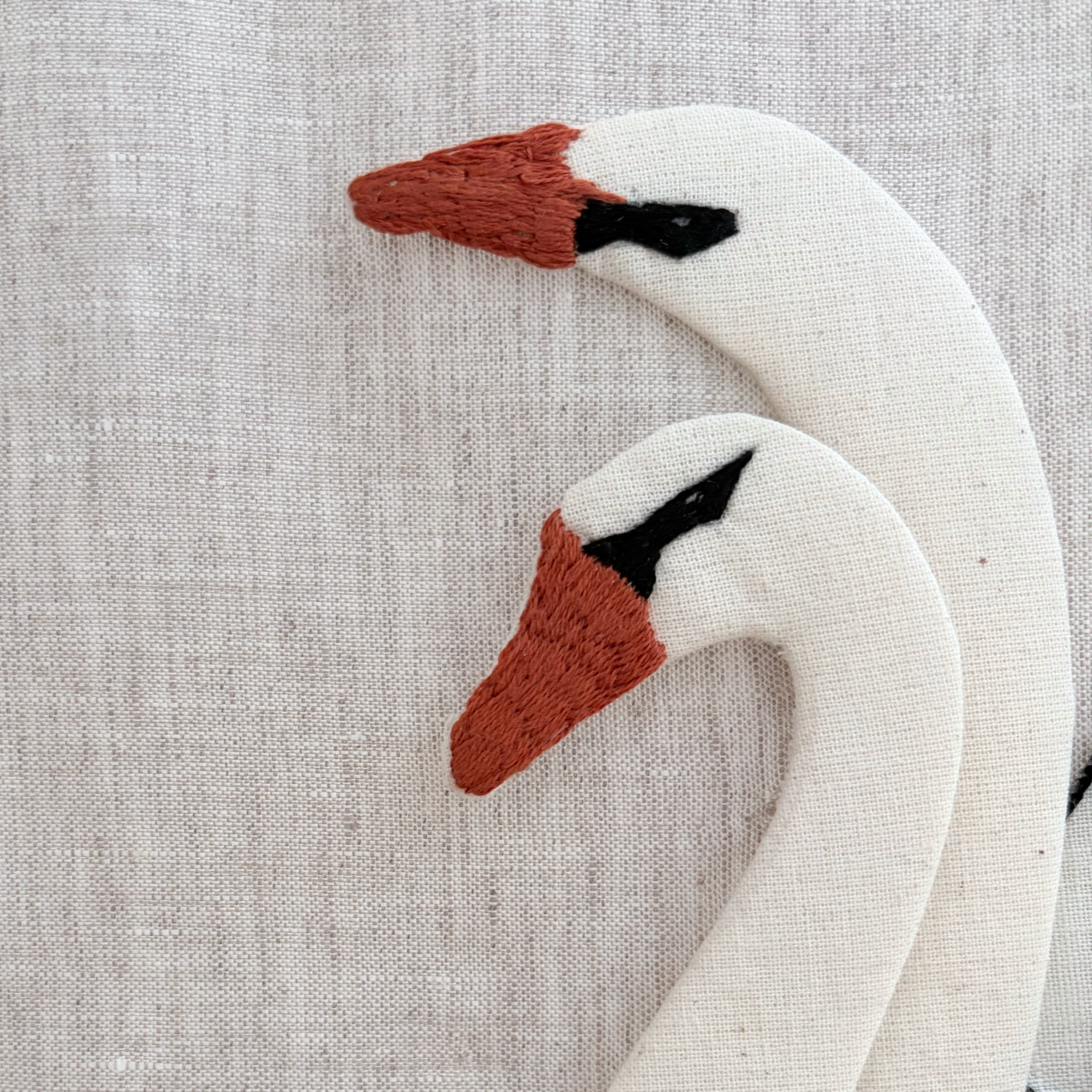 ZOOM CISNE 5.png