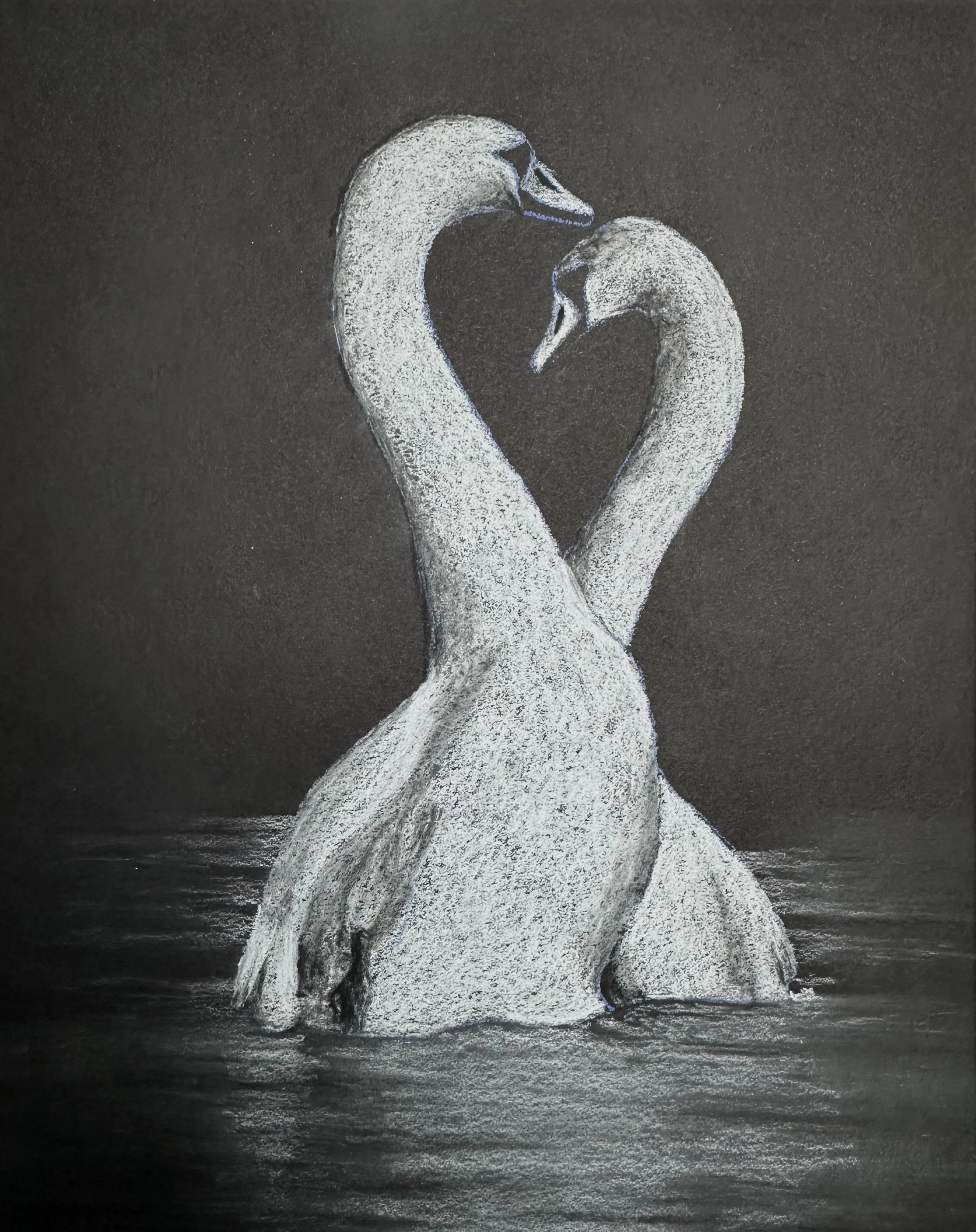 swan song.jpg
