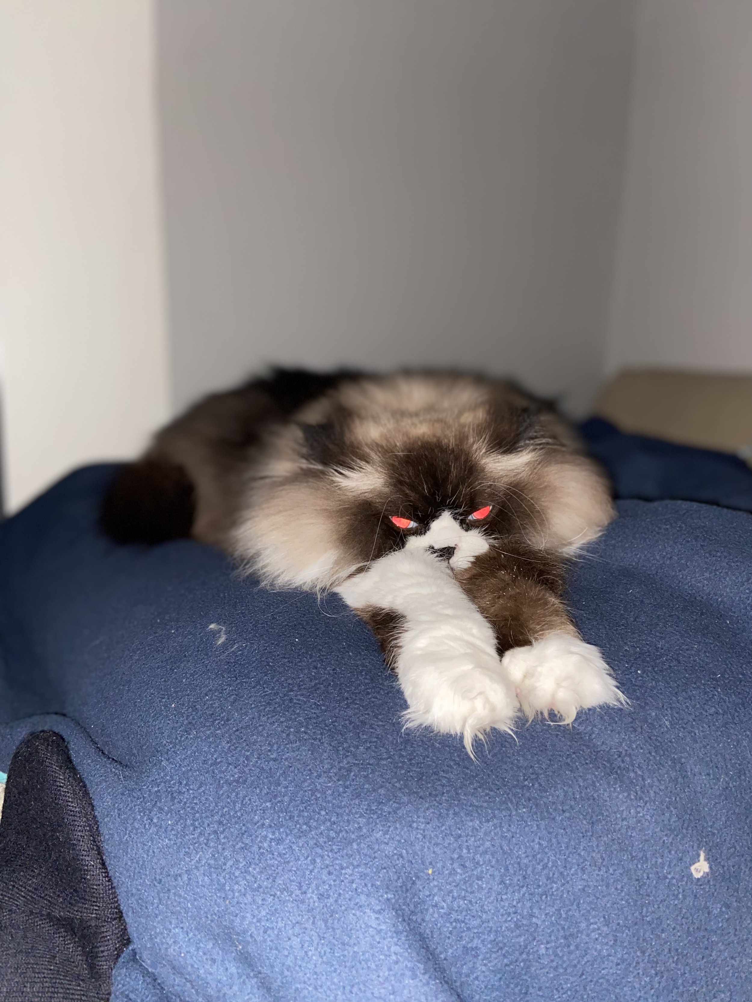 IMG_1487.jpeg