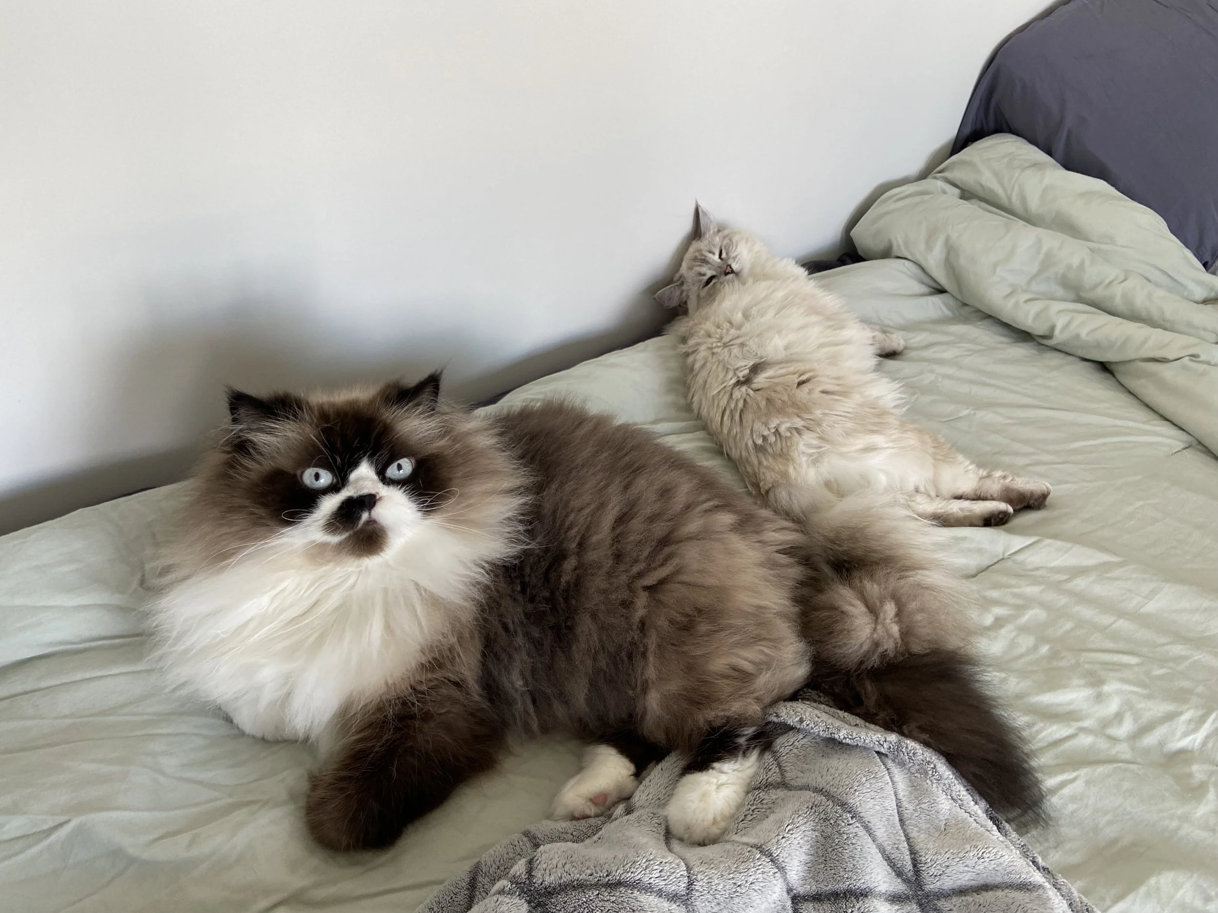 IMG_2870.jpeg