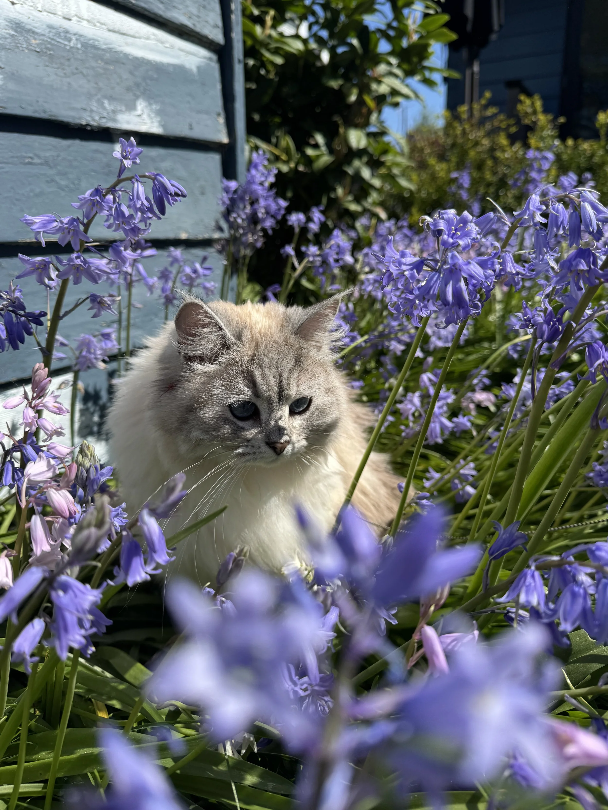 IMG_3098.jpeg