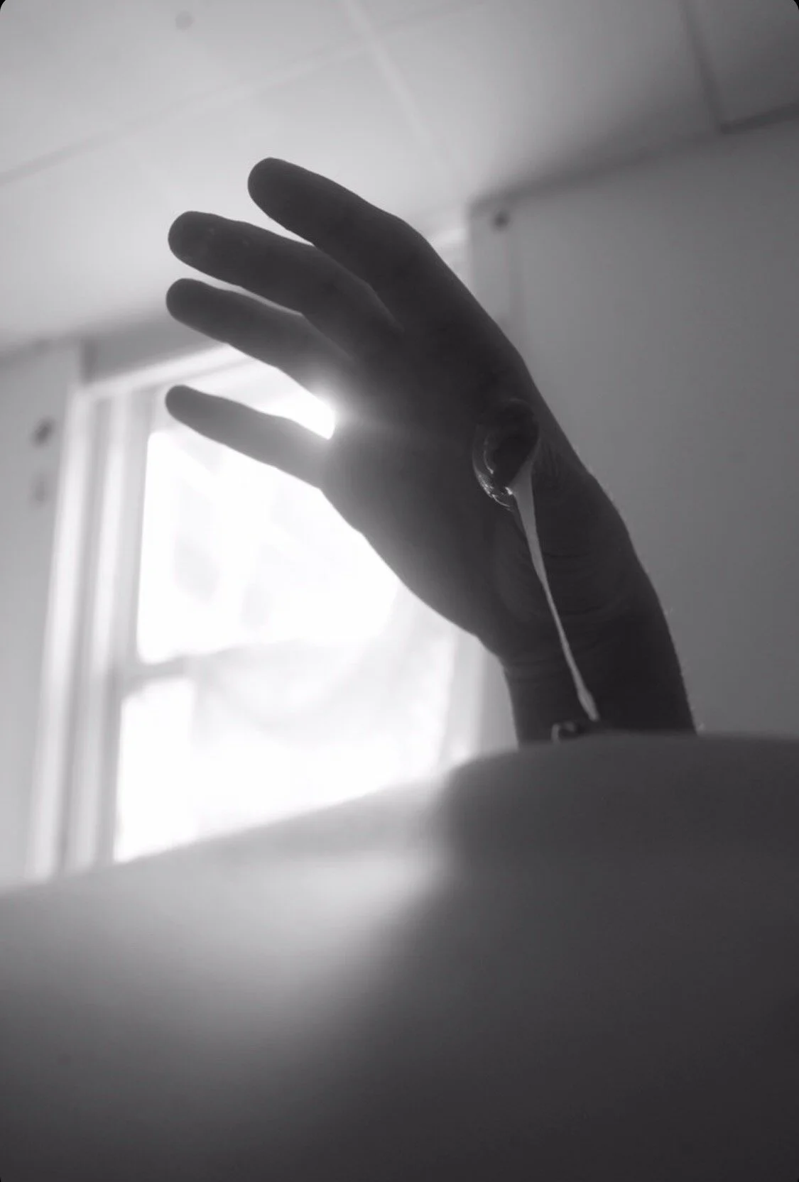  ©Sadie Cornette Cook,  New Haven, CT