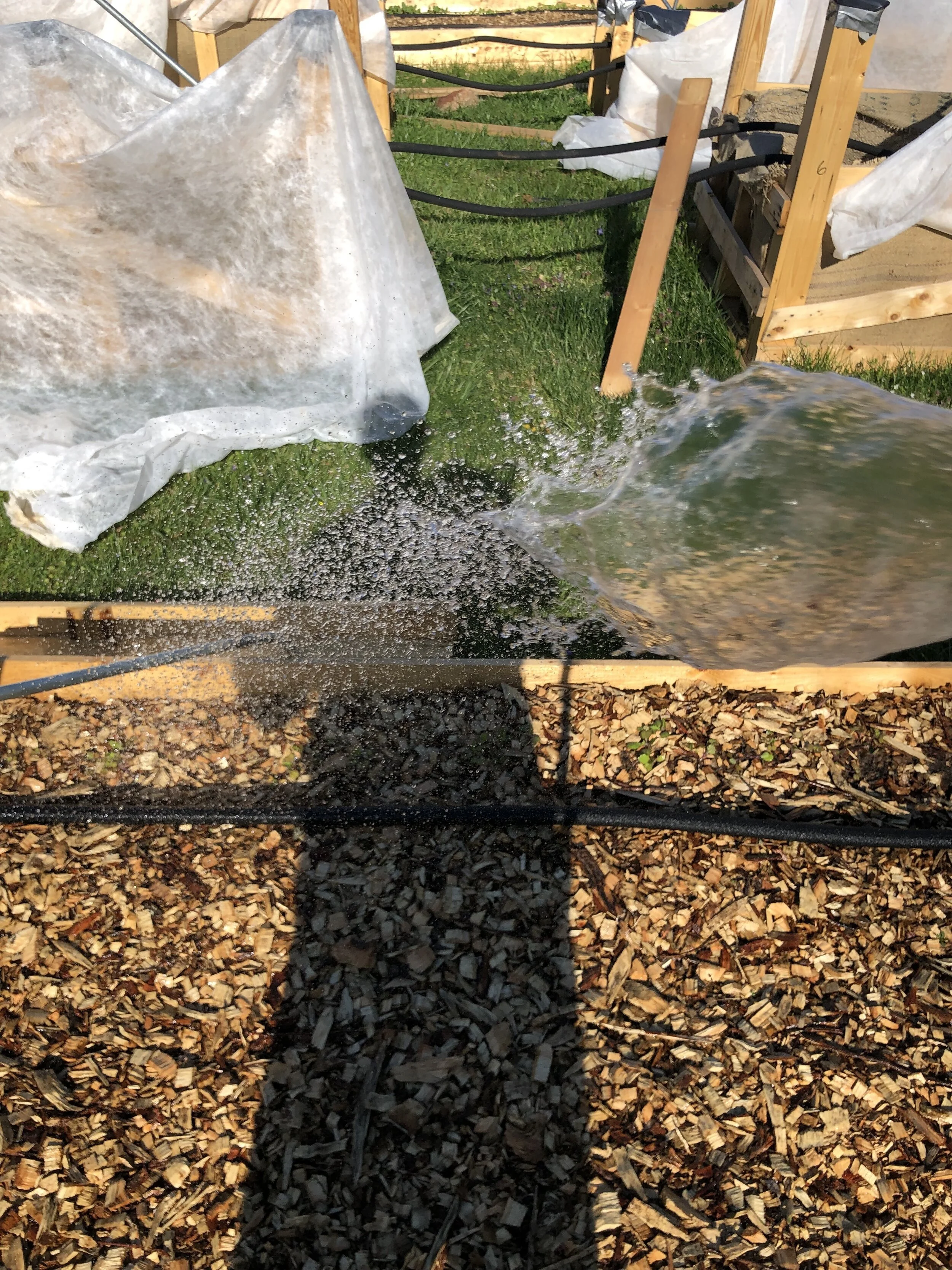 ©Morgan Ashcom, Charlottesville, VA