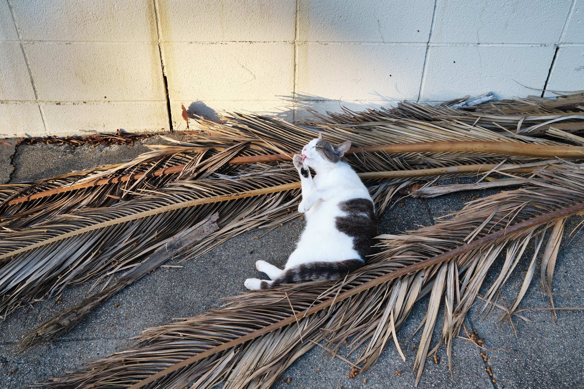 ©Jared Radin, Oakland, CA