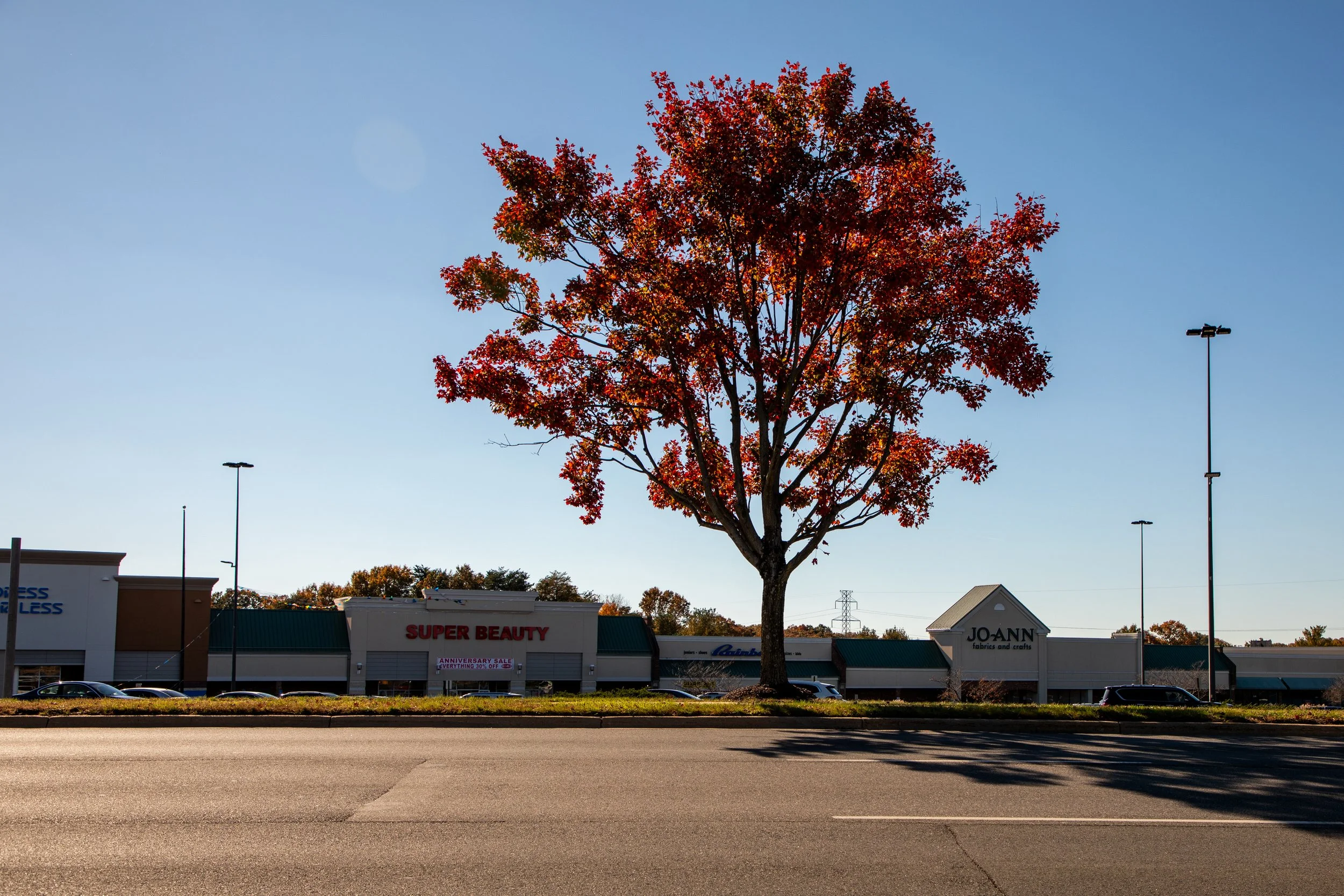 untitled-1183Sisc_Johnson20181104.jpg