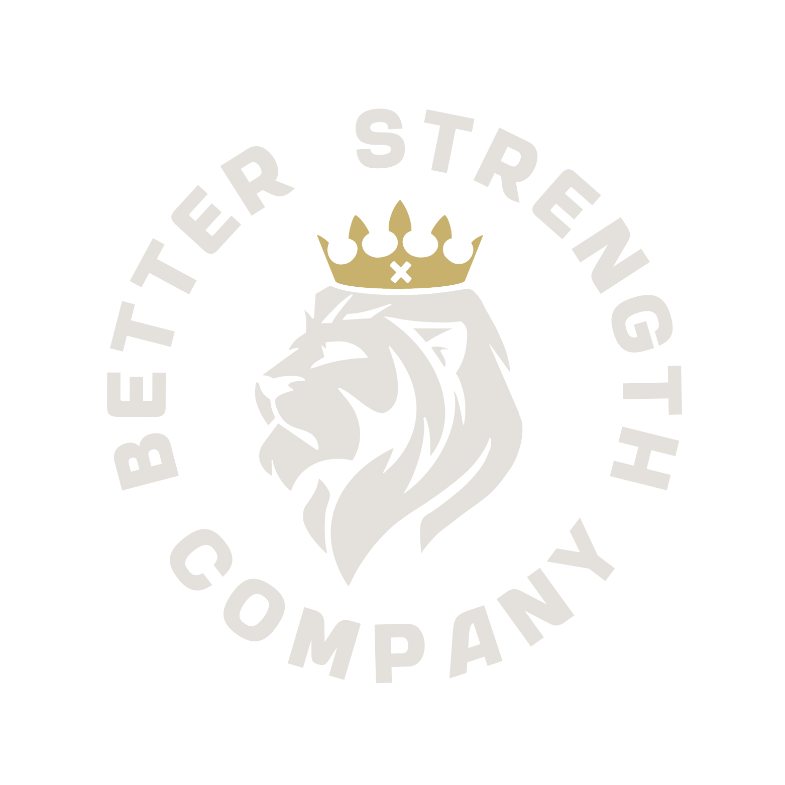 Small Group Strength and Conditioning — Better Strength Company