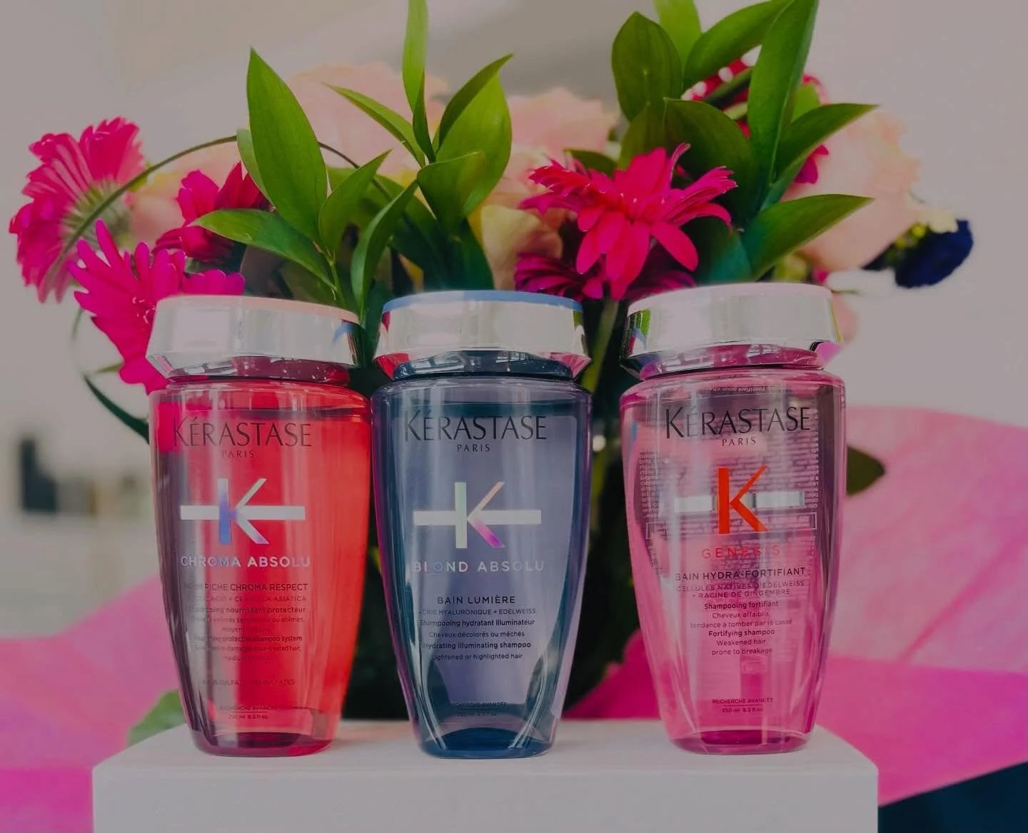 Spring is here 🌸 time to refresh your routine ✨

Stock up on your favorite hair care from K&eacute;rastase, Wella, and Brazilian Blowout 💕

Enjoy 20% OFF now available at both our Darien &amp; Fairfield locations 🤍

Healthy, shiny hair starts here