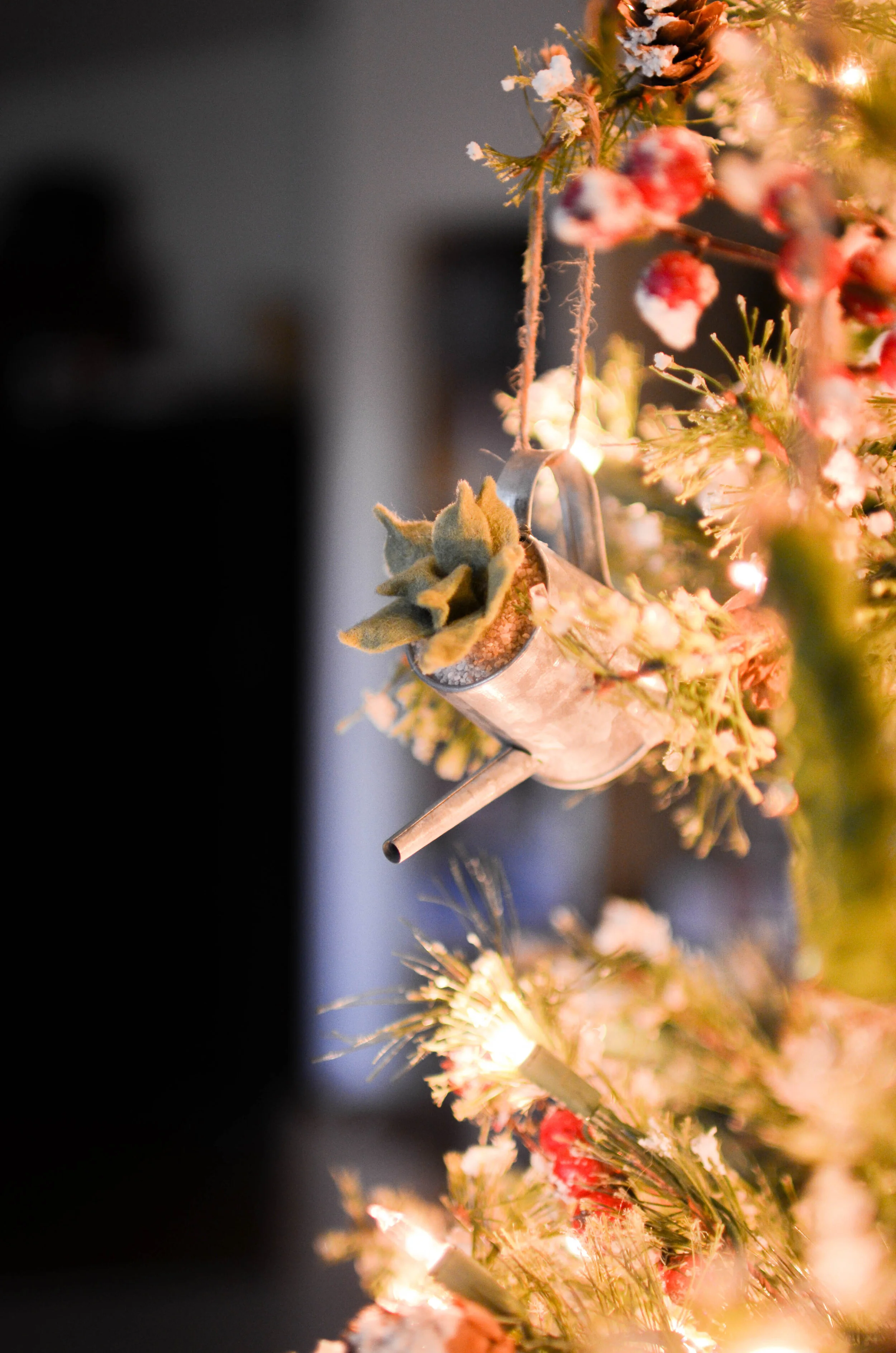 DSC_0079test.jpg