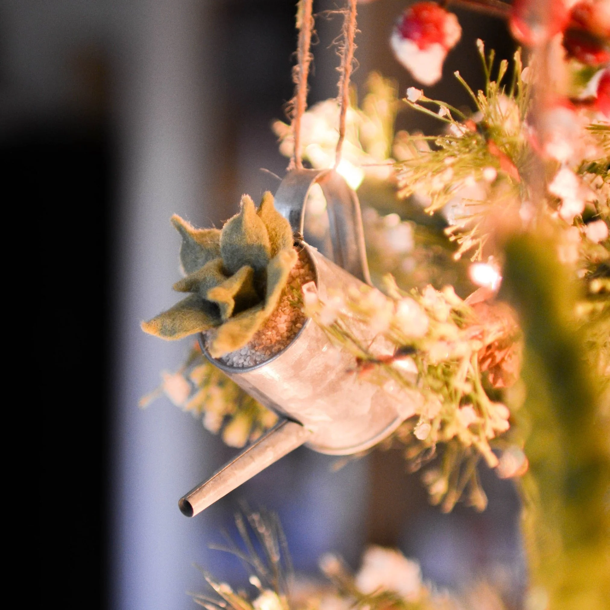 DSC_0079test.jpg