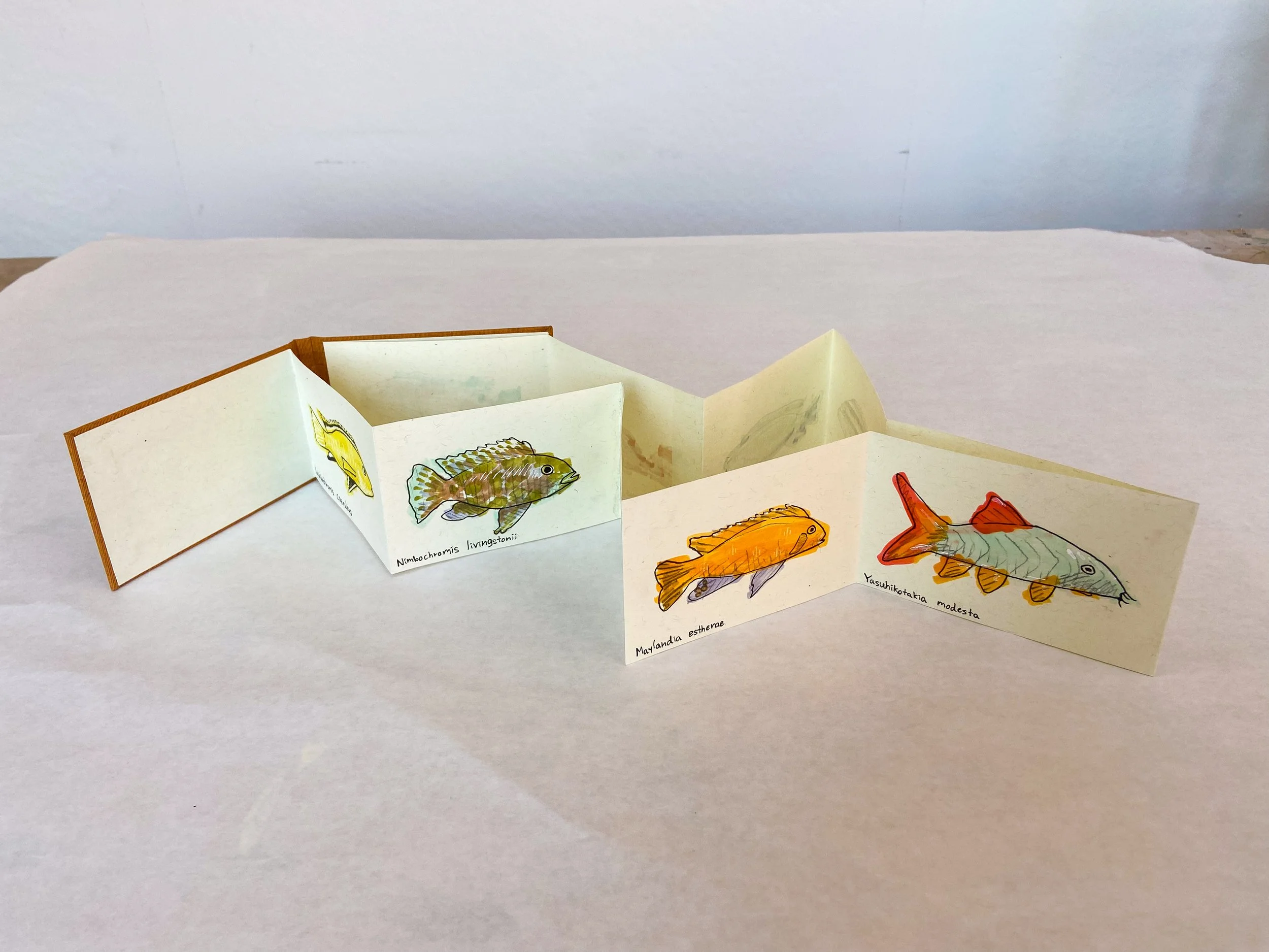Fish-Book-3.jpg