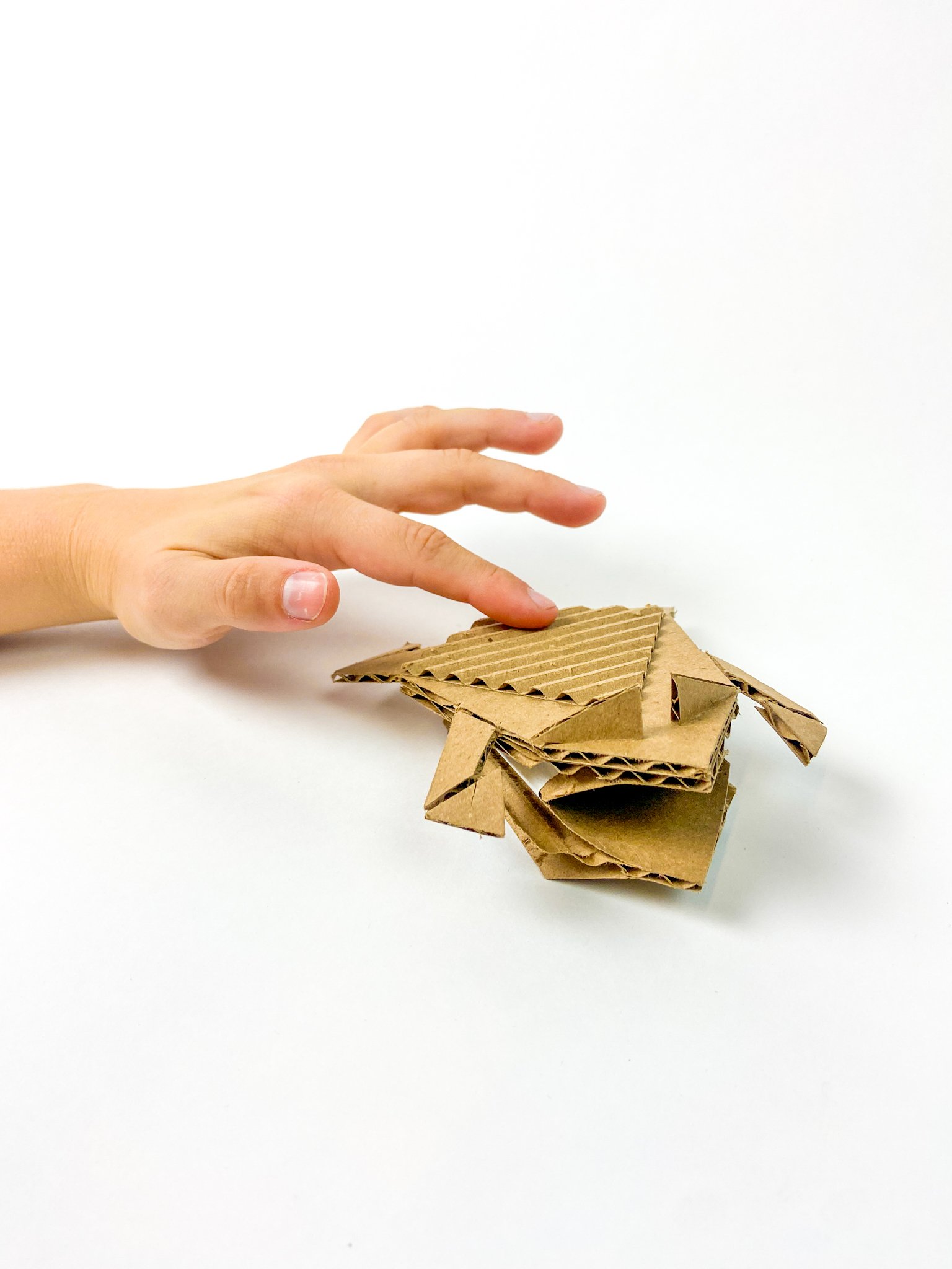 Cardboard_Critters-17.jpg