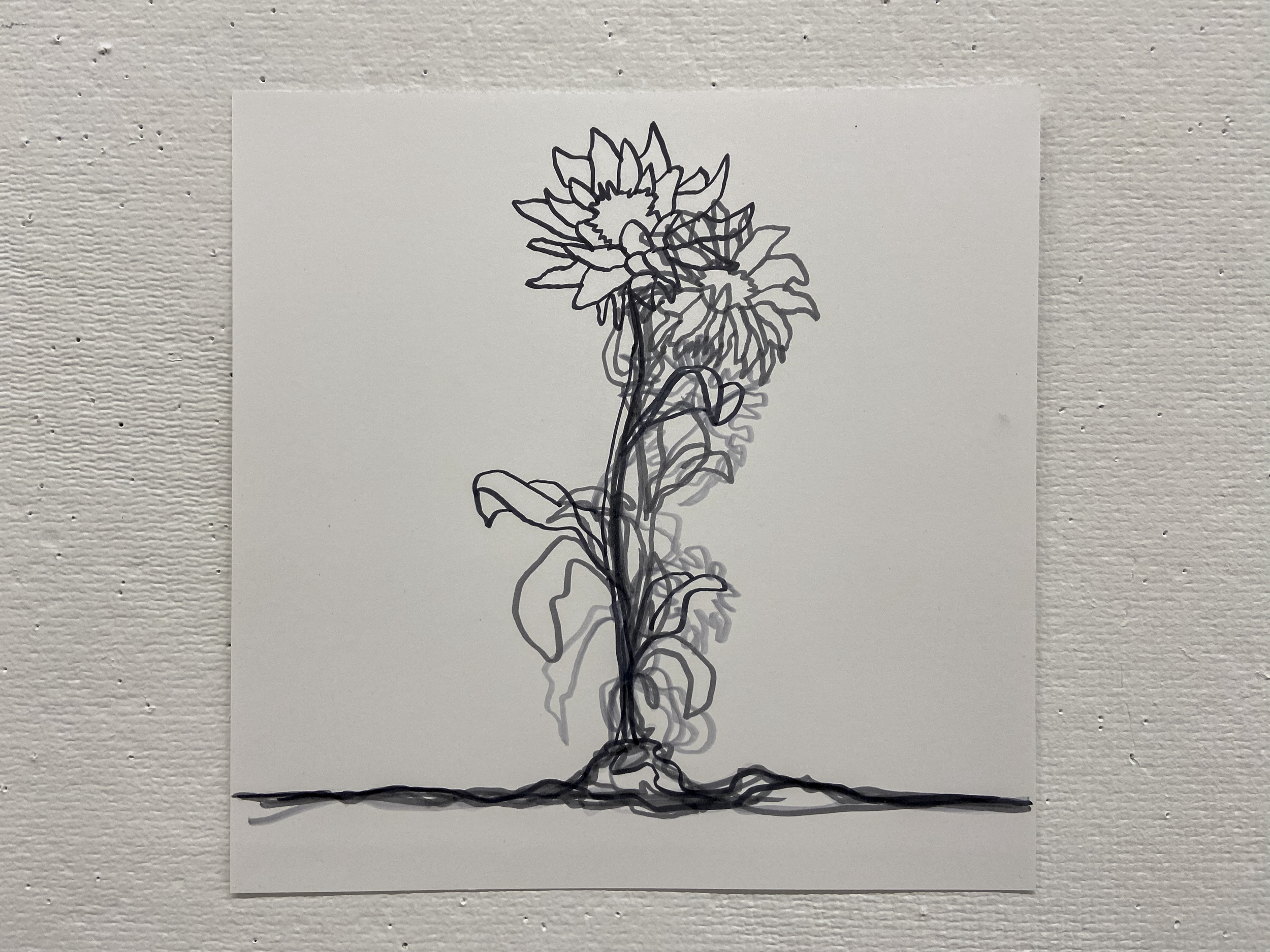 Sunflower-05.png