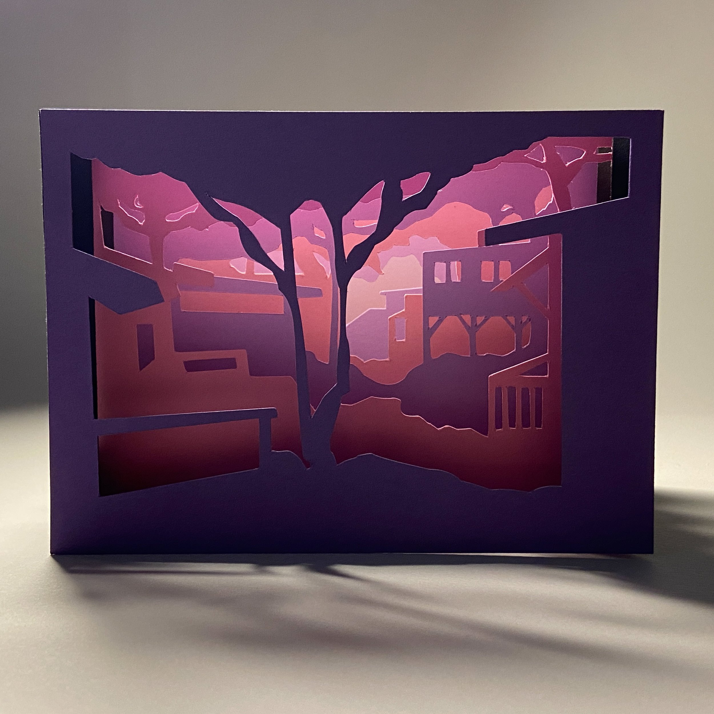 The View from the Studio