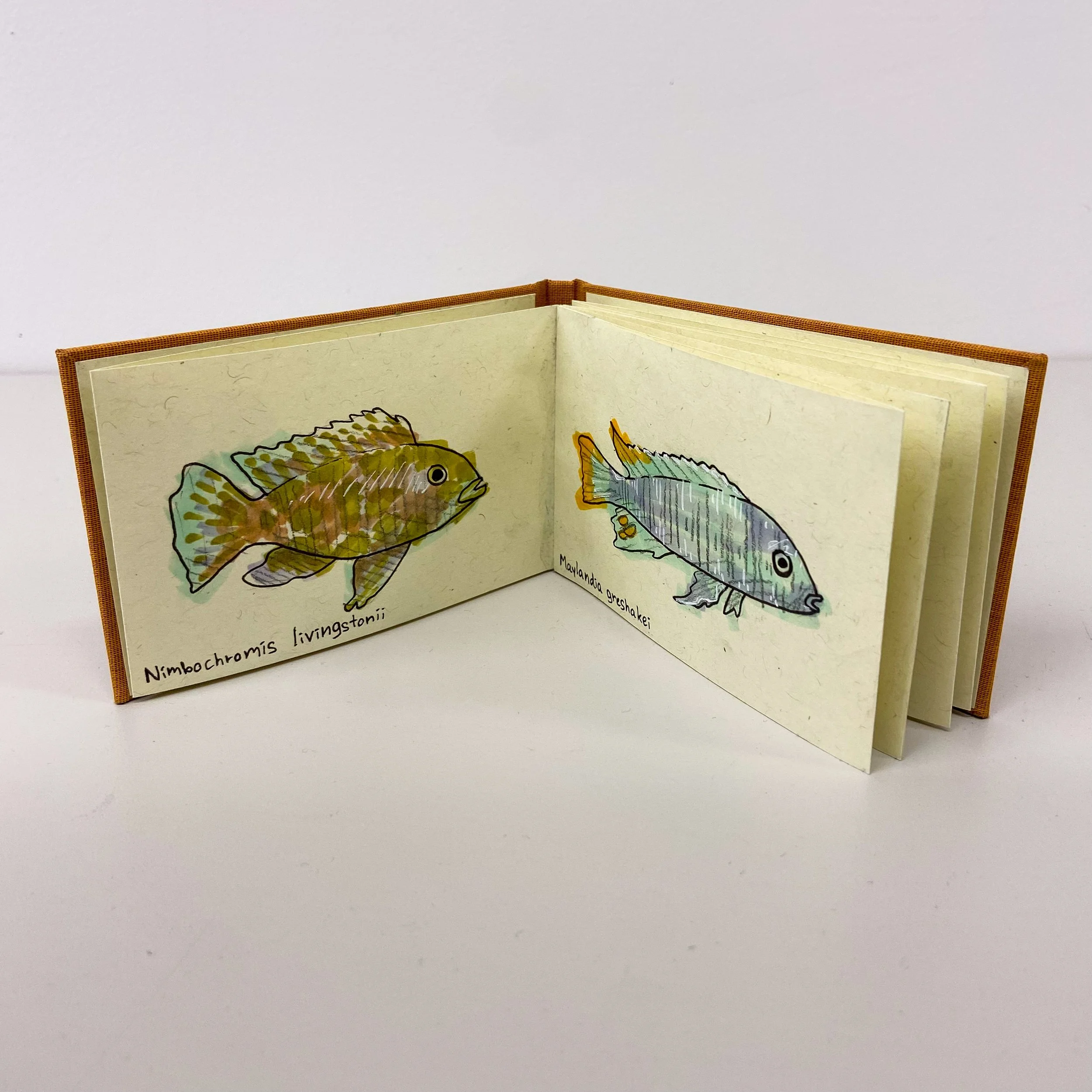 Fish-Book-9.jpg