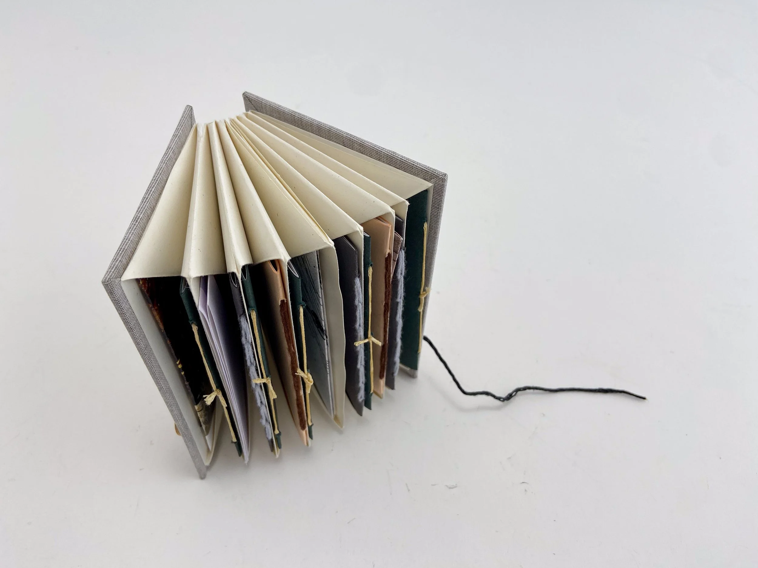 What's Left on Earth-20.jpg