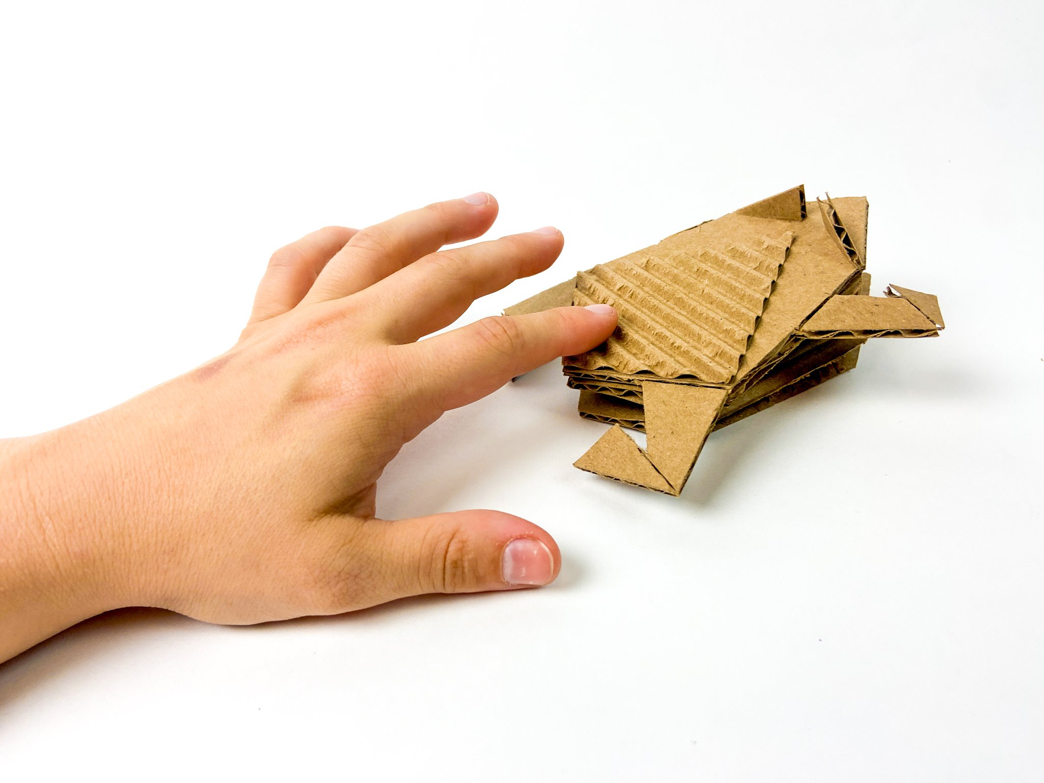 Cardboard_Critters-14.jpg