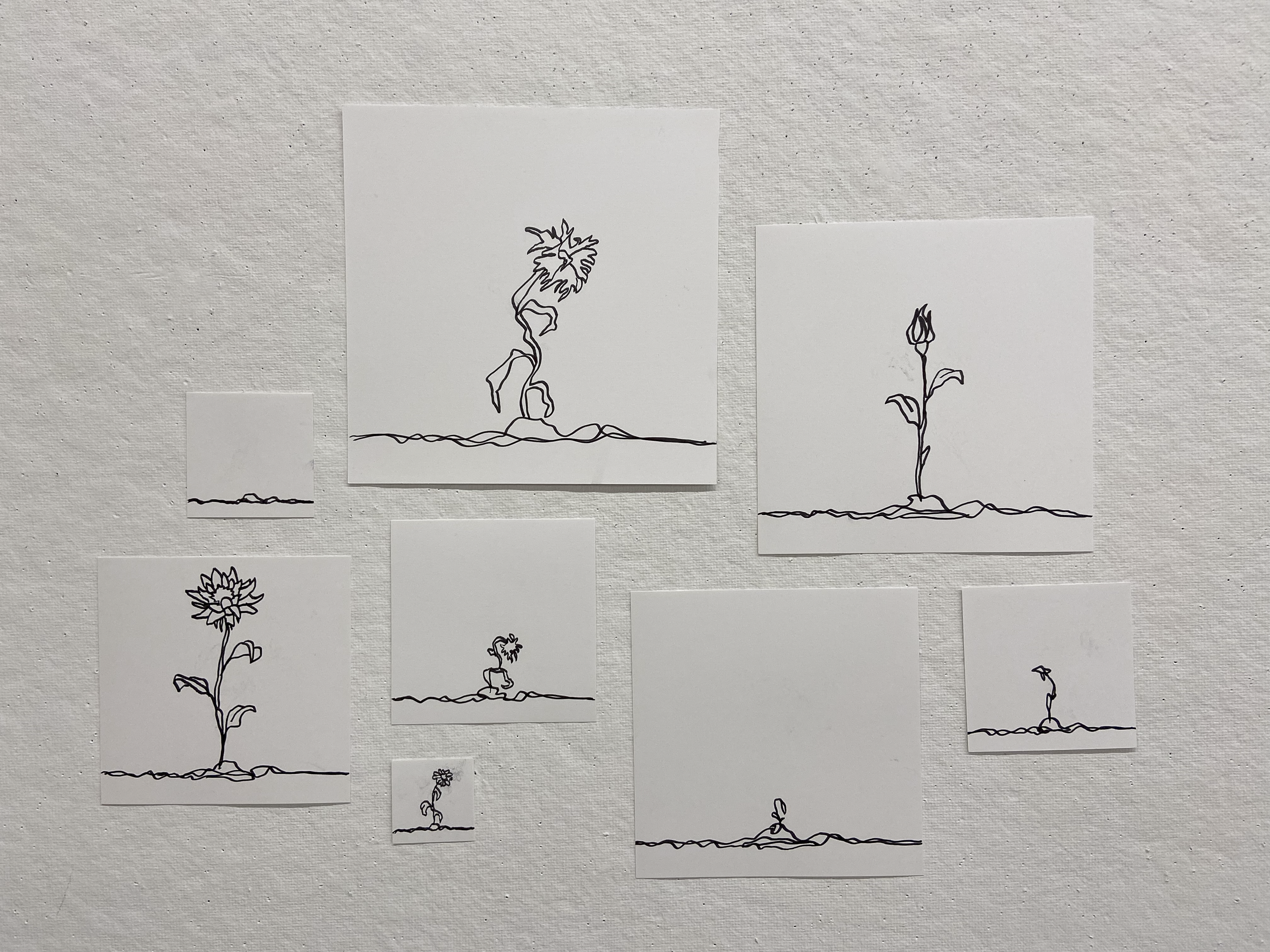Sunflower-04.png