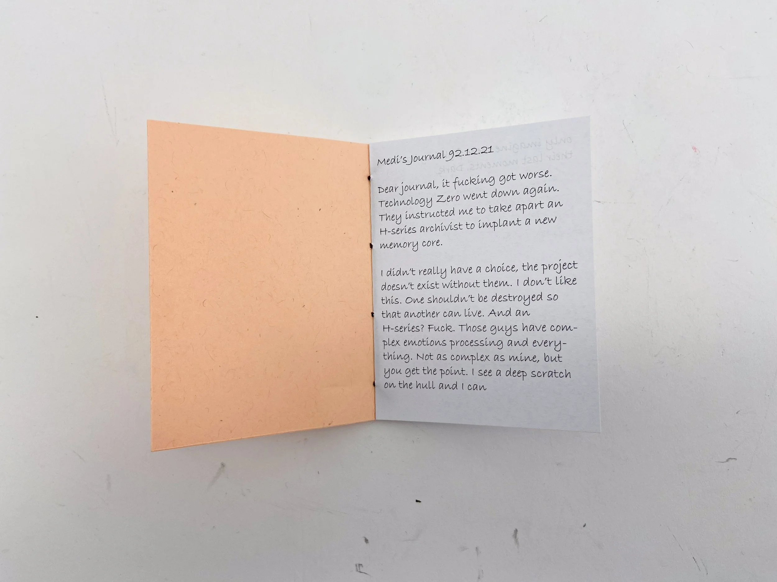 What's Left on Earth-13.jpg