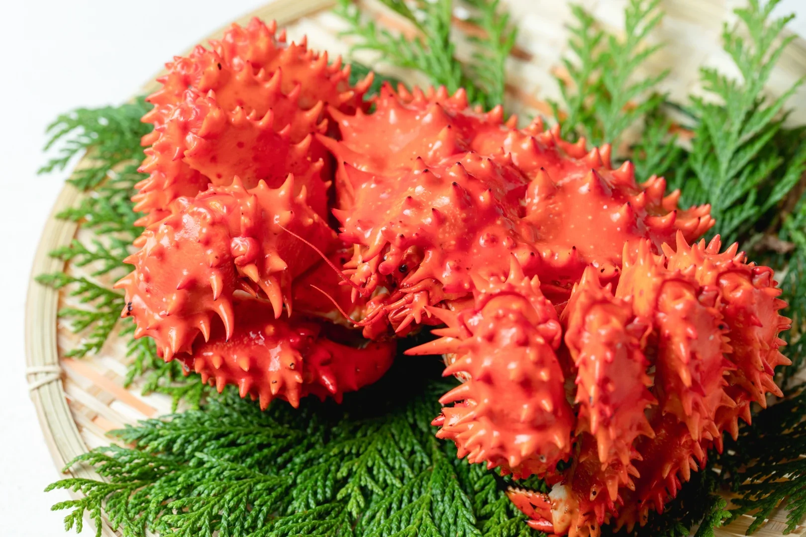 kani-japanese-hanasaki-crab.jpg.webp (Copy)