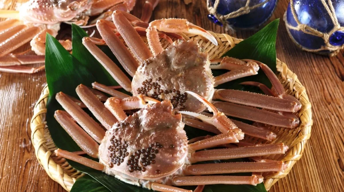 Matsuba Gani.webp (Copy)