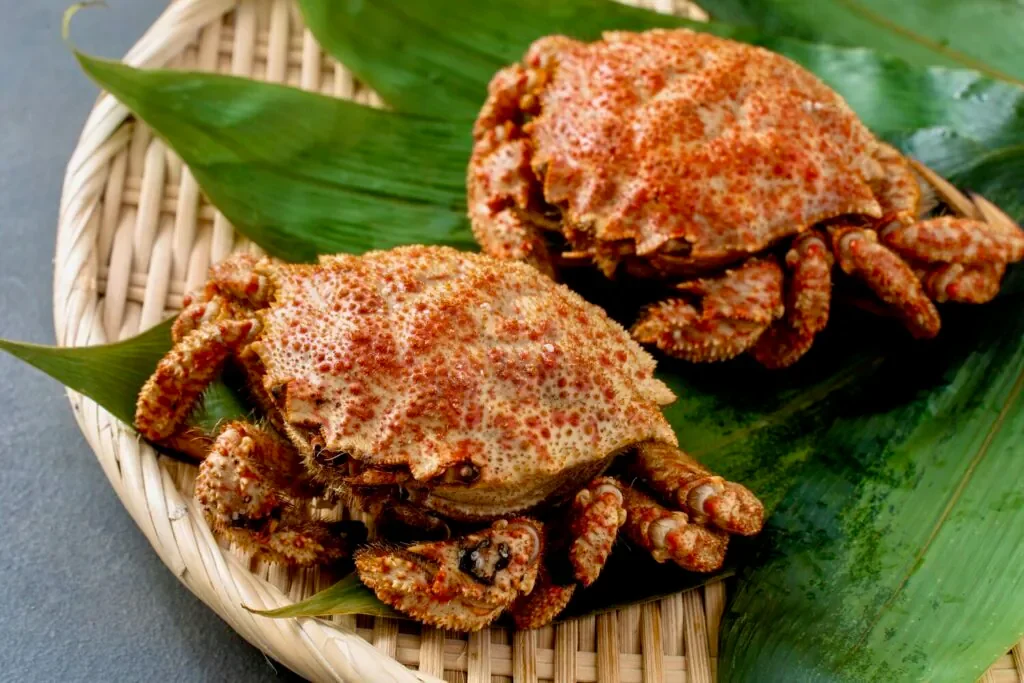 Kurikani.webp (Copy)