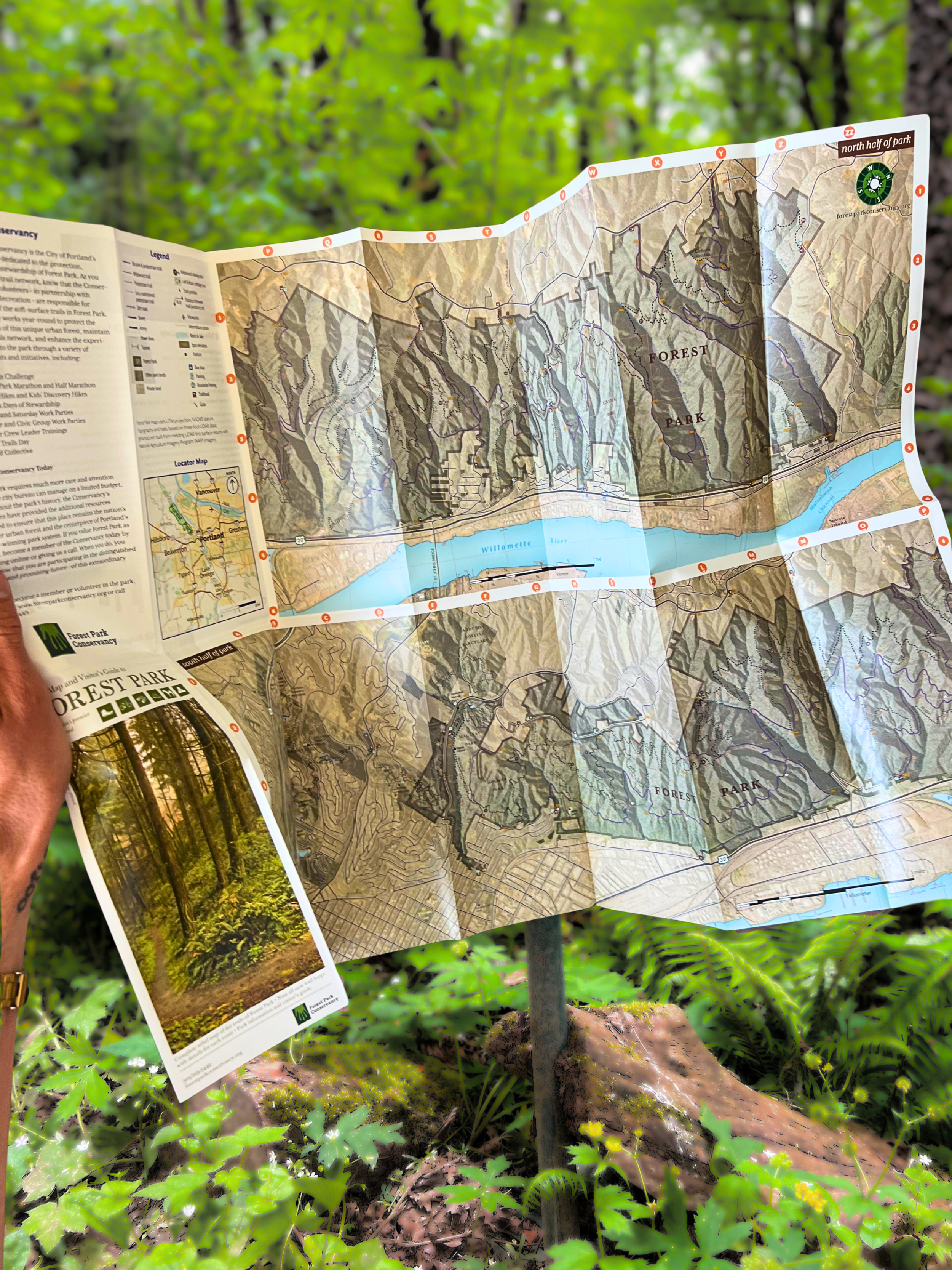 Map - Product Image.png