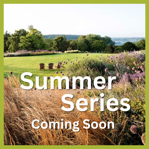 Summer Series - Outdoor Theatre and Garden Lates