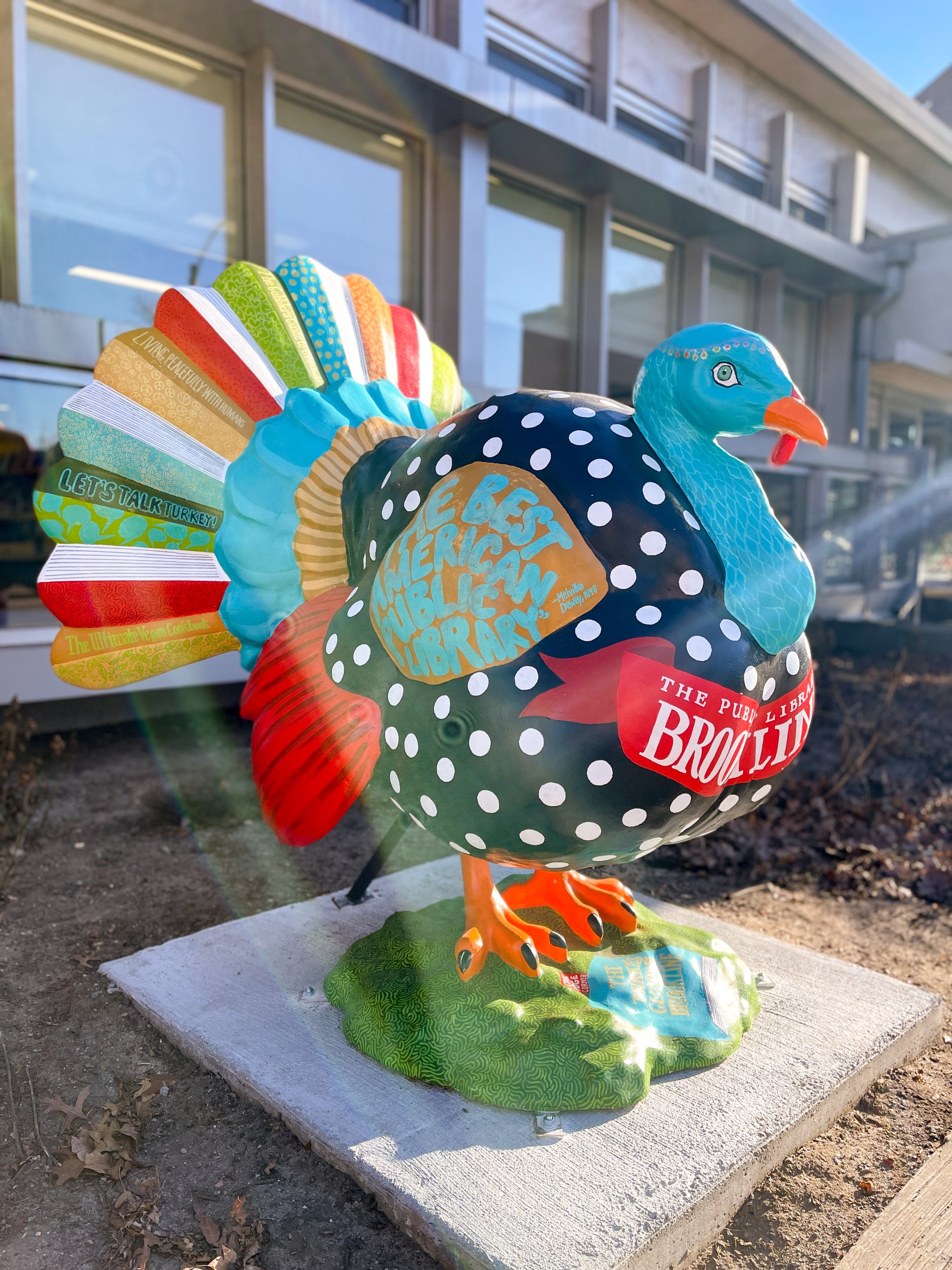 BAMC_Turkeys_WebSize_01.25_ADean_0004.jpg