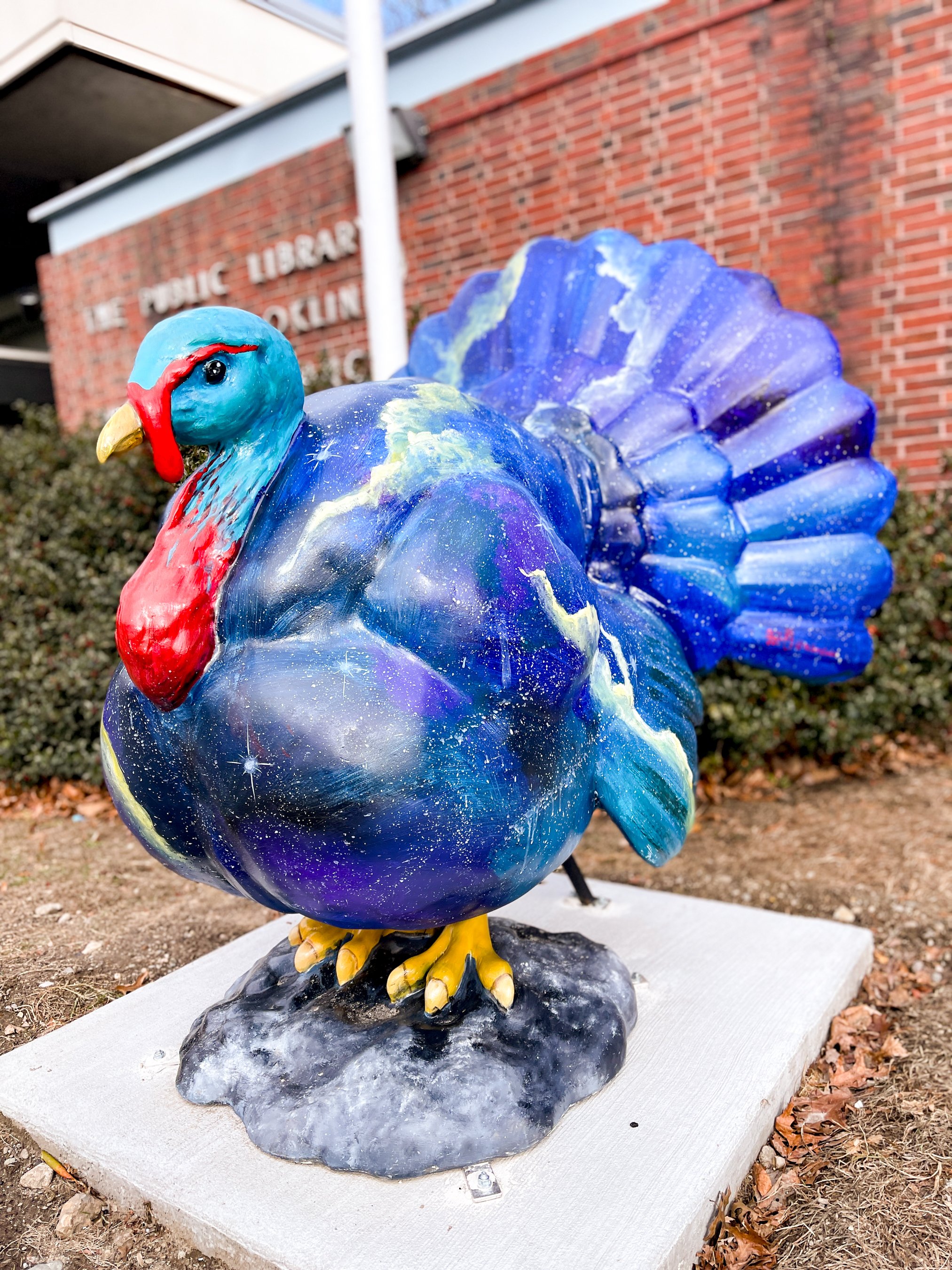 BAMC_Turkeys_WebSize_01.25_ADean_0001.jpg