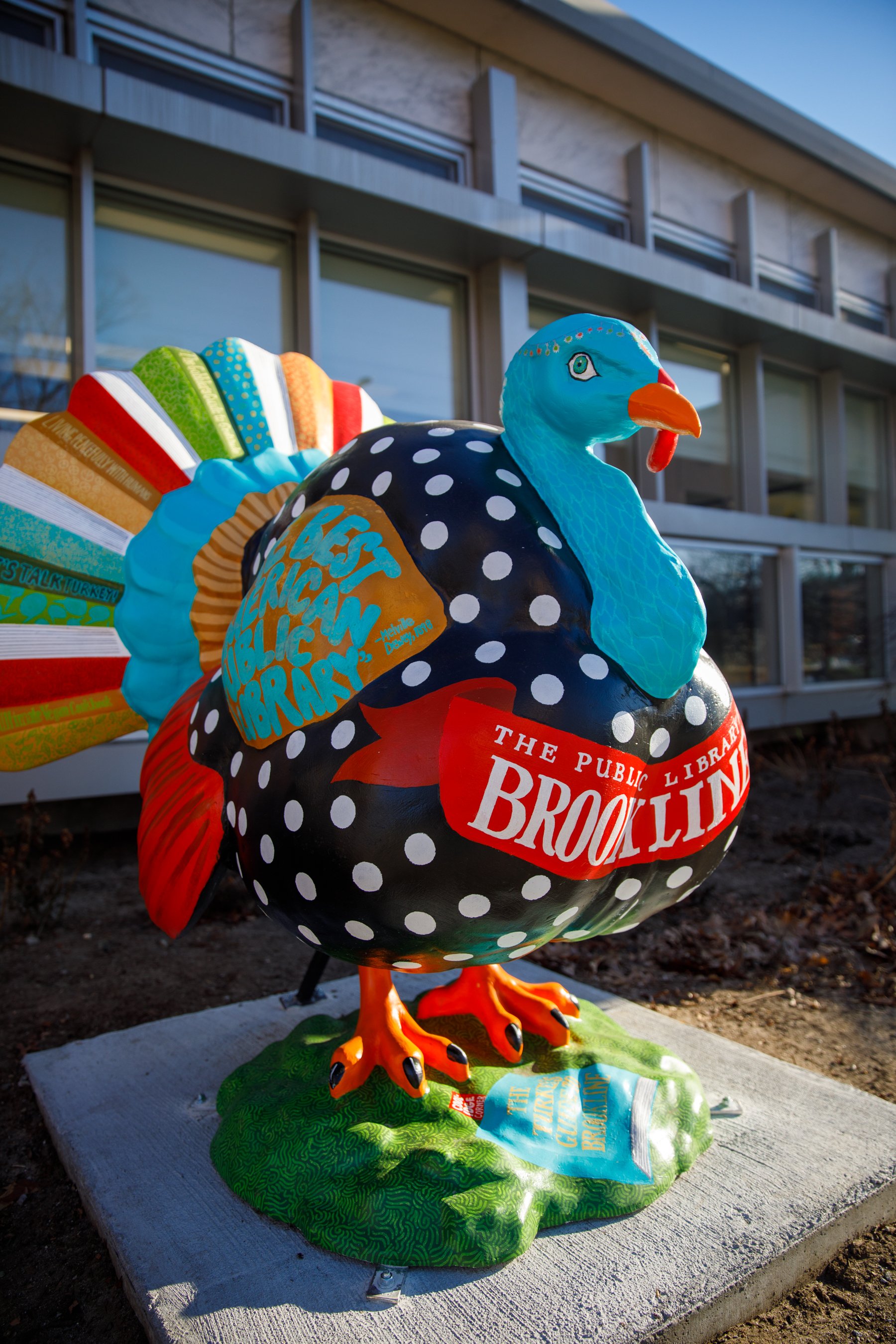 BAMC_Turkeys_WebSize_01.25_ADean_0005.jpg