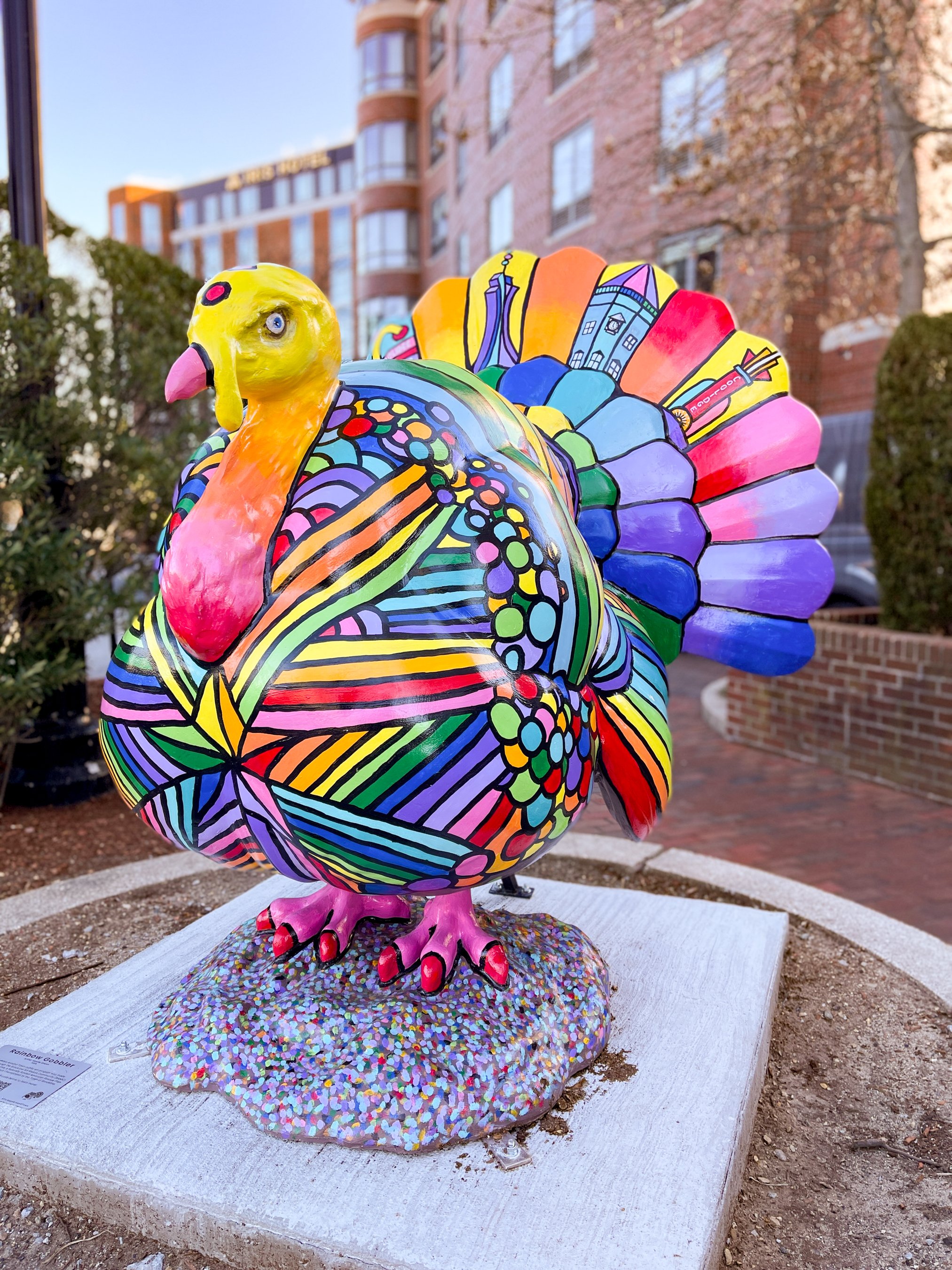 BAMC_Turkeys_WebSize_01.25_ADean_0006.jpg