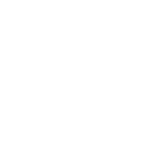 Hoist 500x500 copy.png