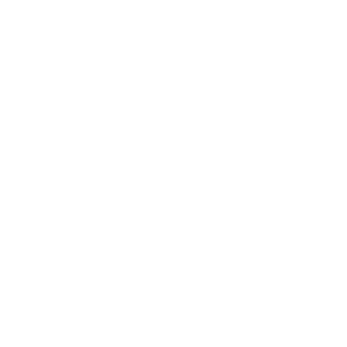 VERTX 500X500 copy.png