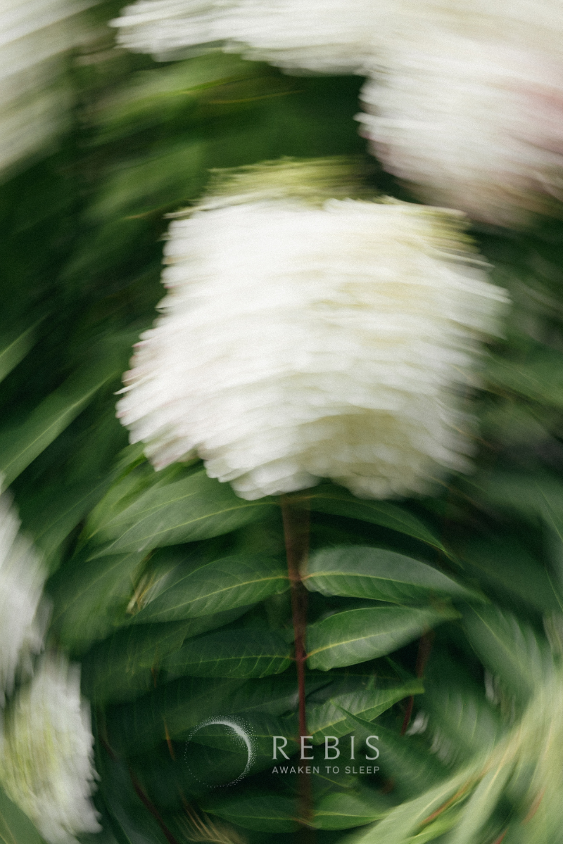 What to do if Your Doctor Dismisses You: When “Normal” isn’t NORMAL and the Trauma of Dismissal