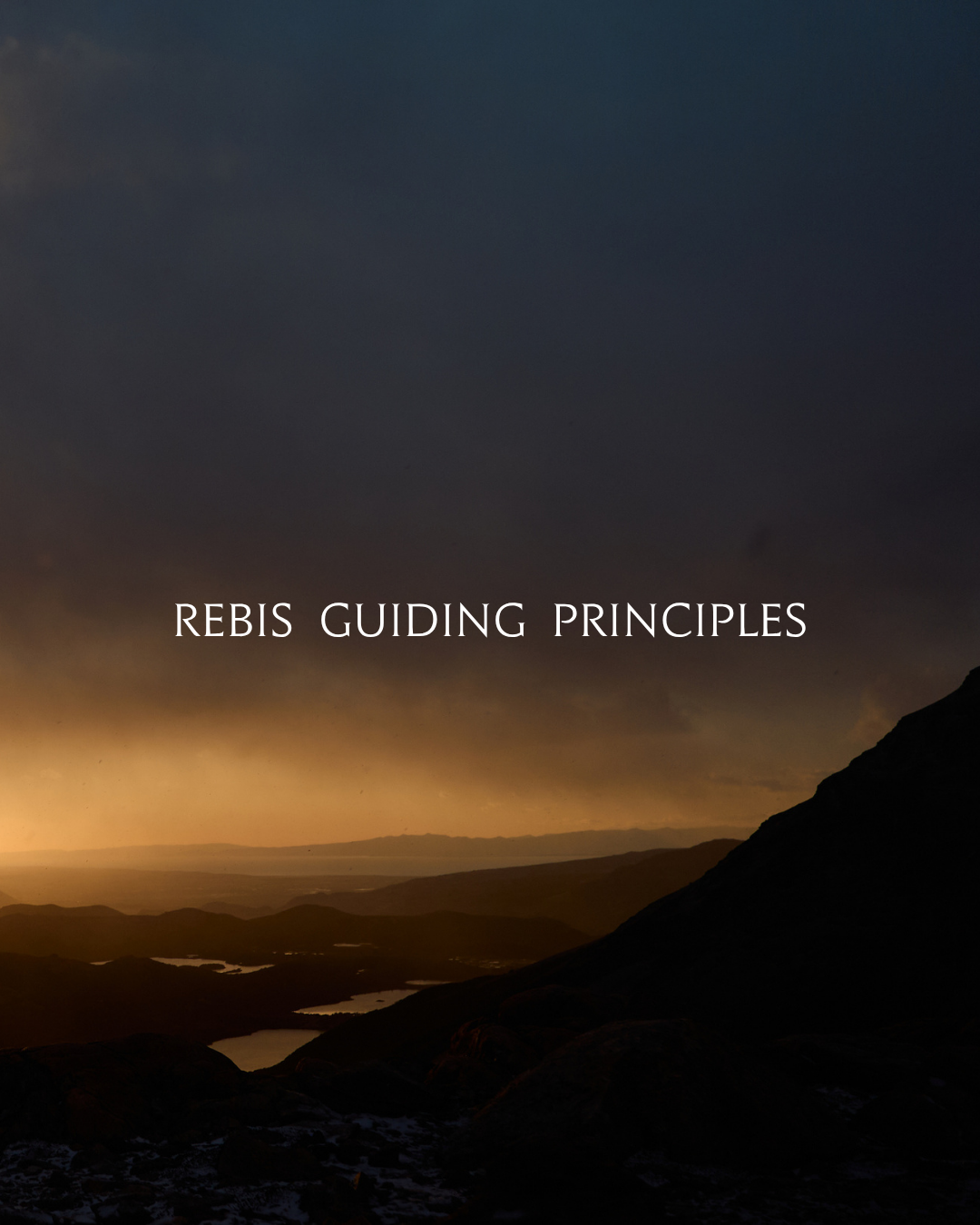 Rebis: Culture and Guiding Principles