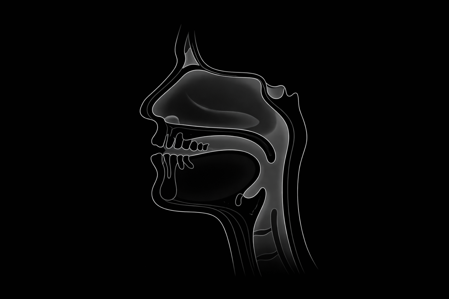 Side facial anatomy diagram showing adult palatal expansion and airway structure for MARPE treatment at Rebis Health Colorado