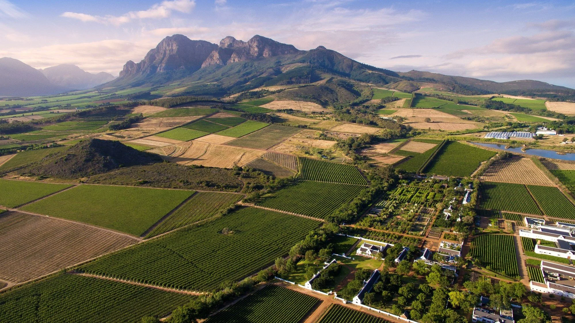 June Wine Night: South African Selection